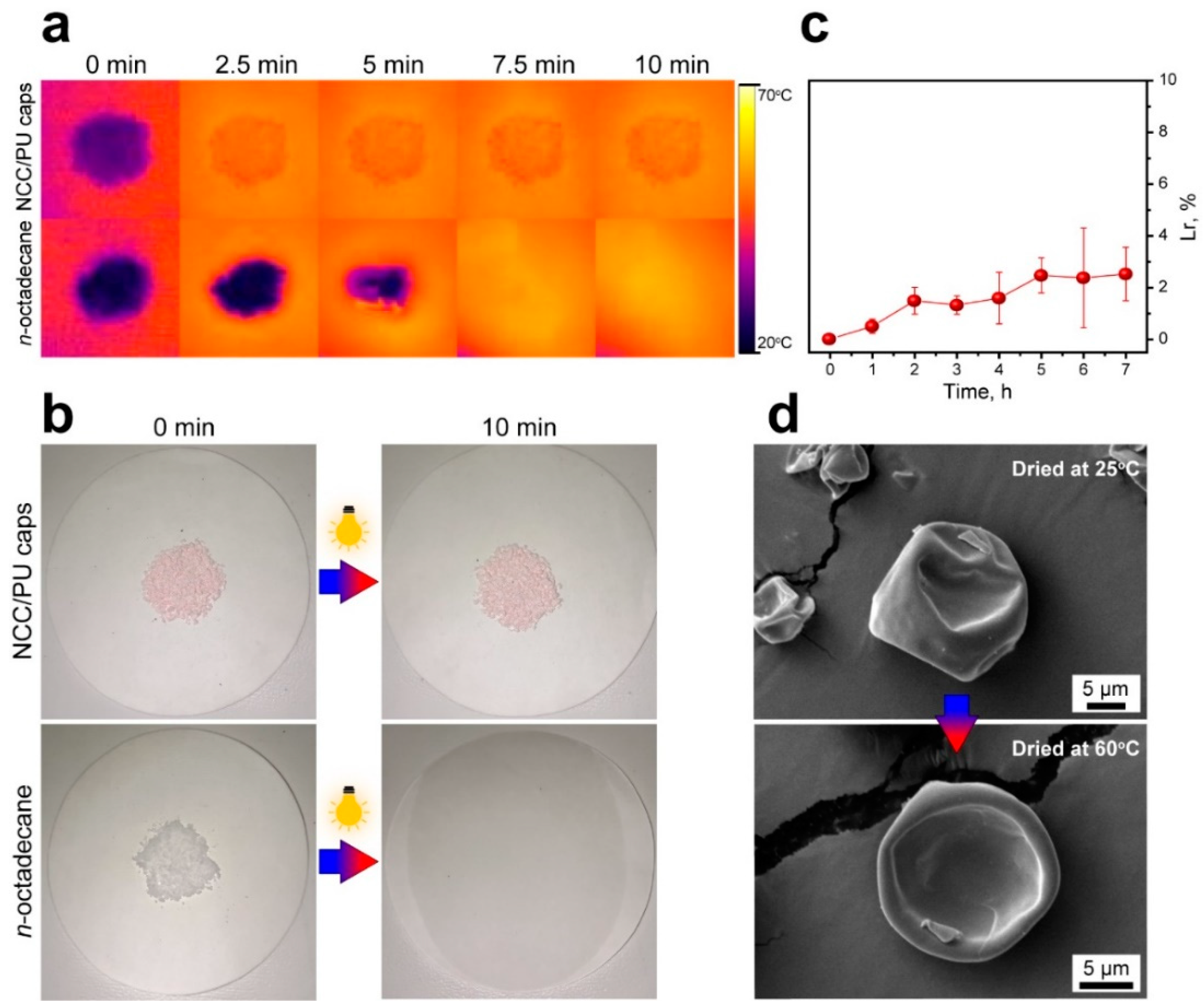 Materials 16 00029 g006 Materials 16 00029 g006