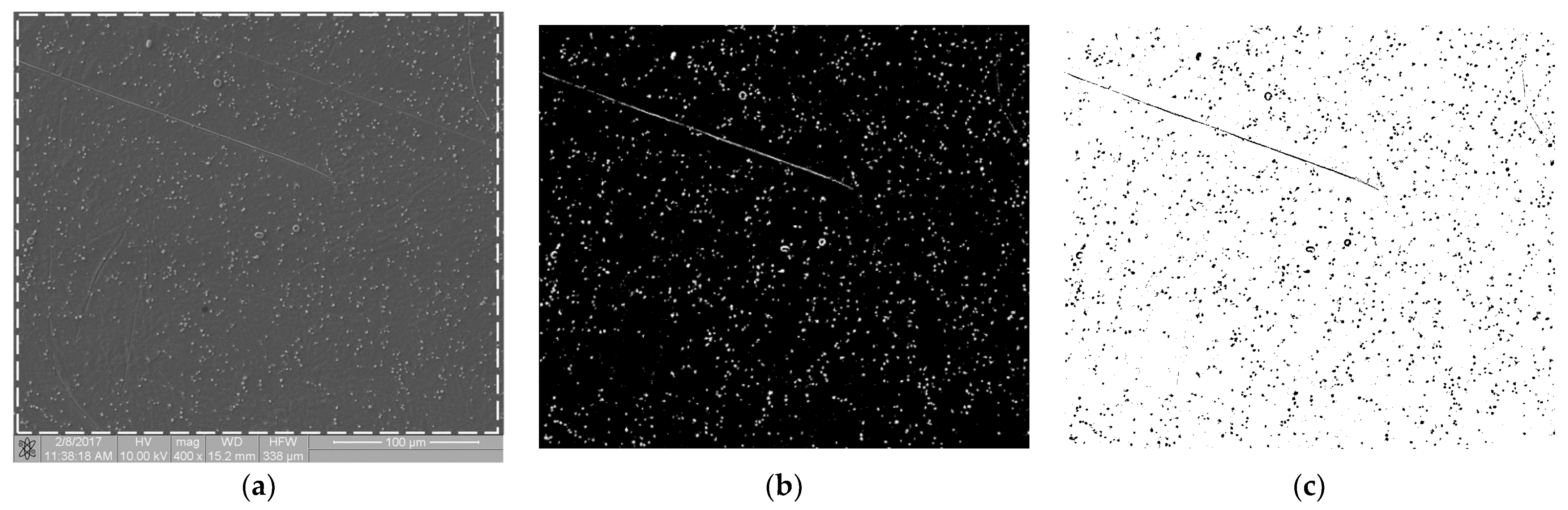 Materials 16 00038 g001