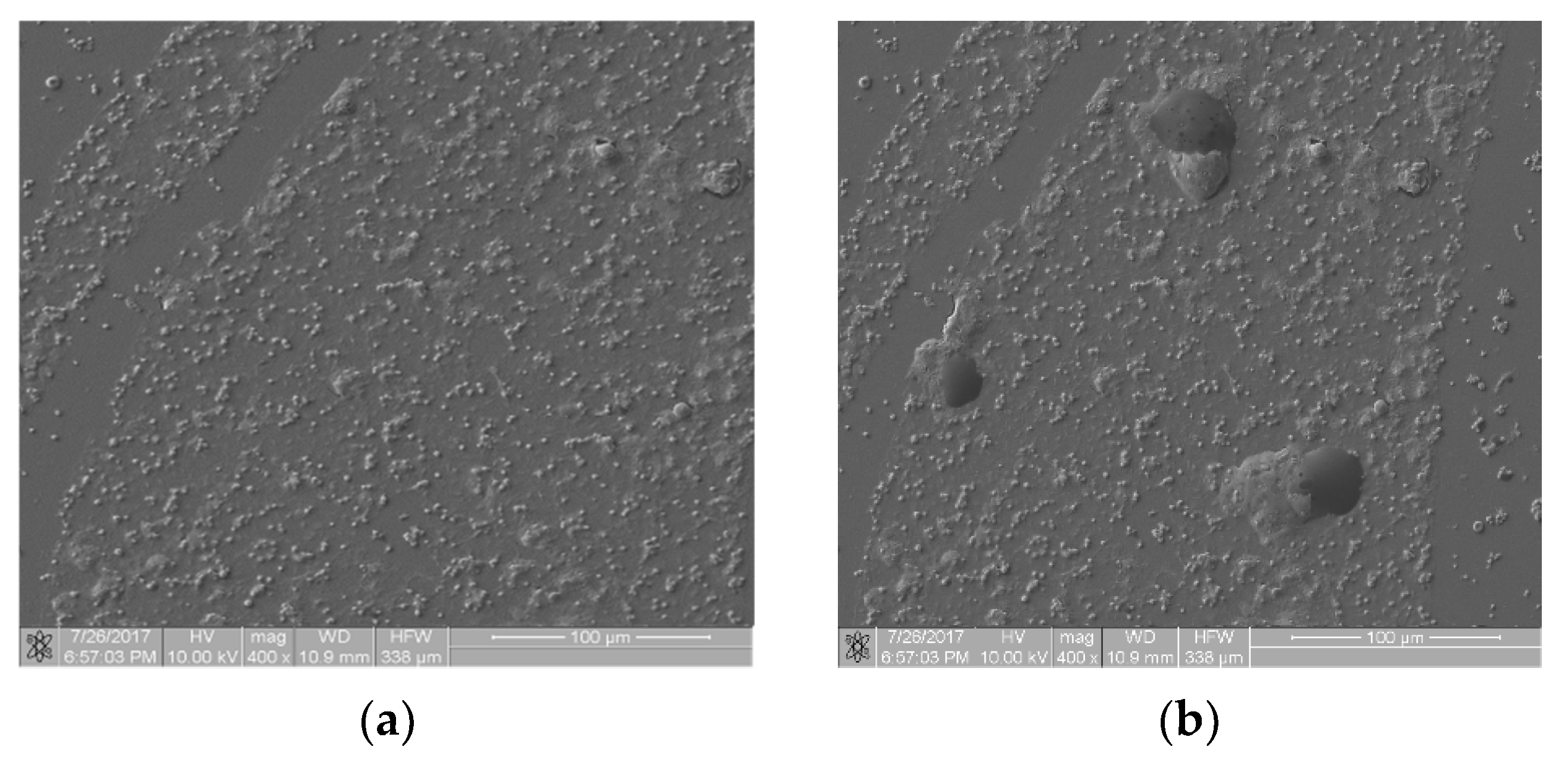 Materials 16 00038 g006