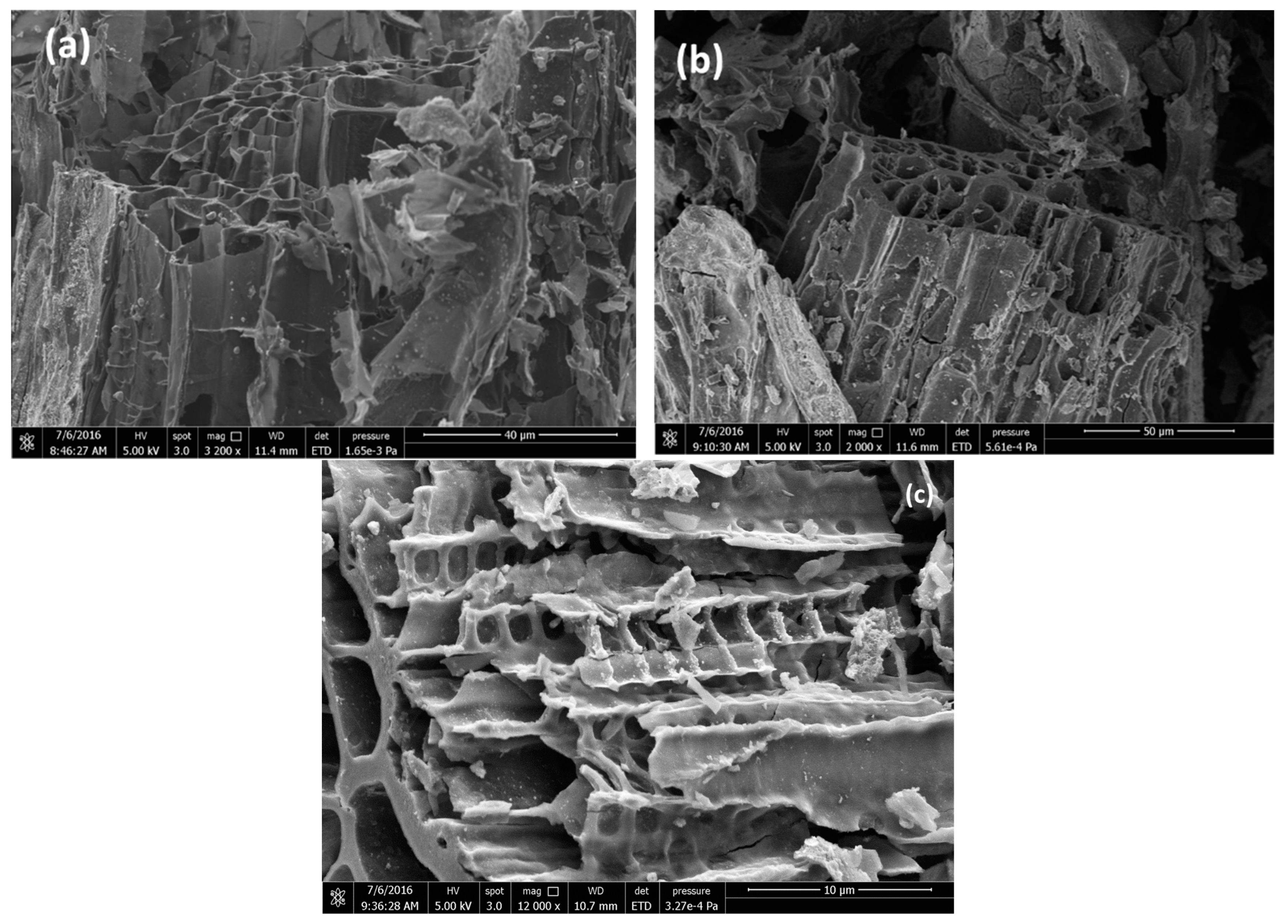 Materials 16 00043 g003 Materials 16 00043 g003