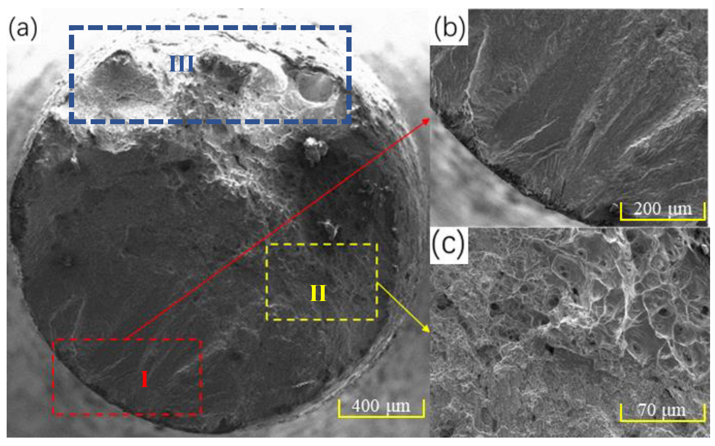 Materials 16 00047 g008