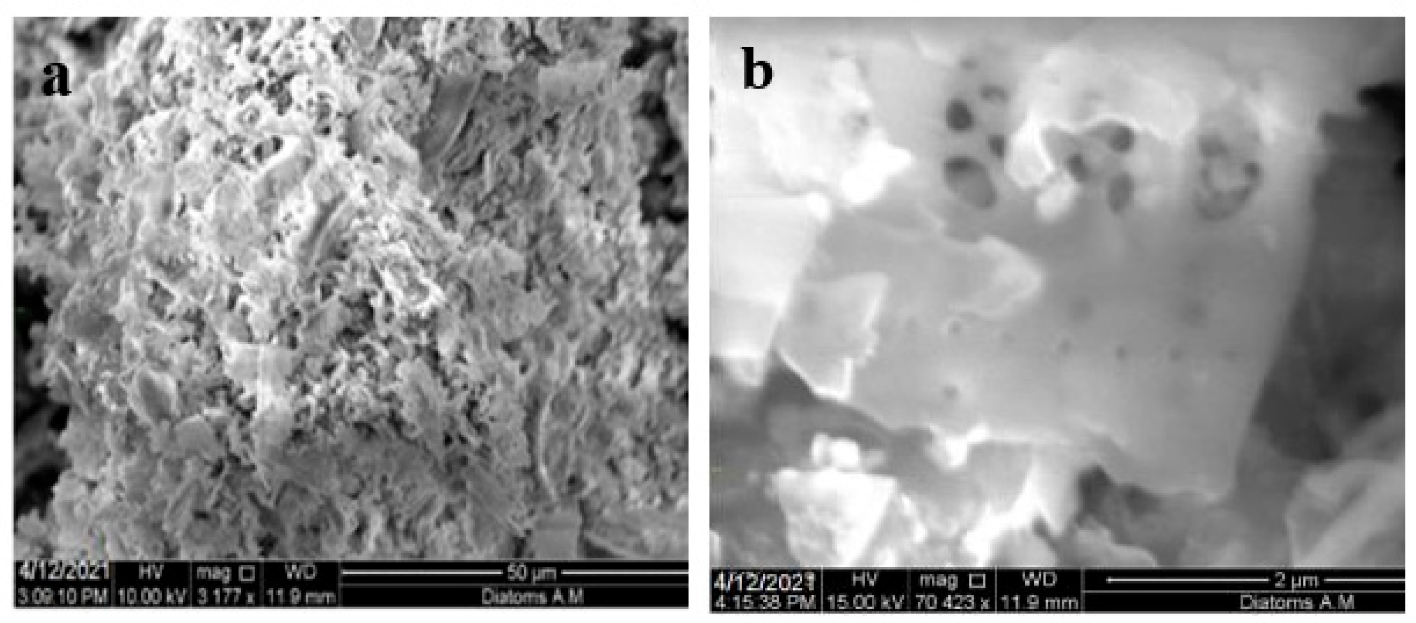 Materials 16 00048 g002 Materials 16 00048 g002