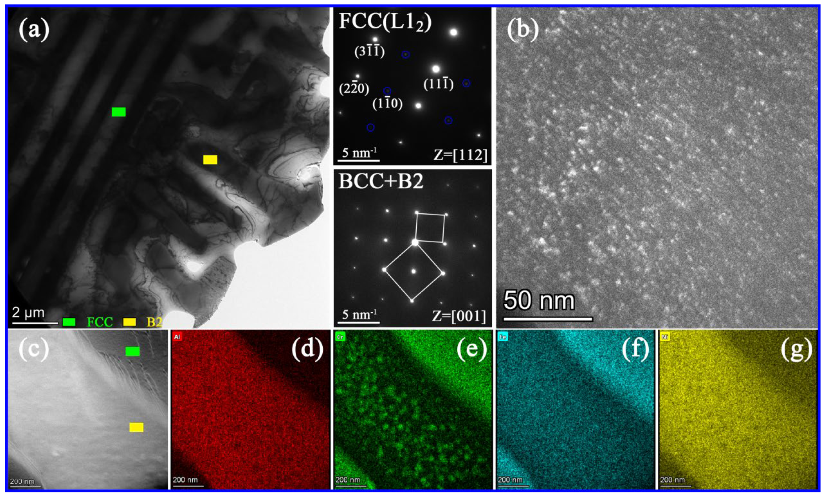 Materials 16 00056 g005