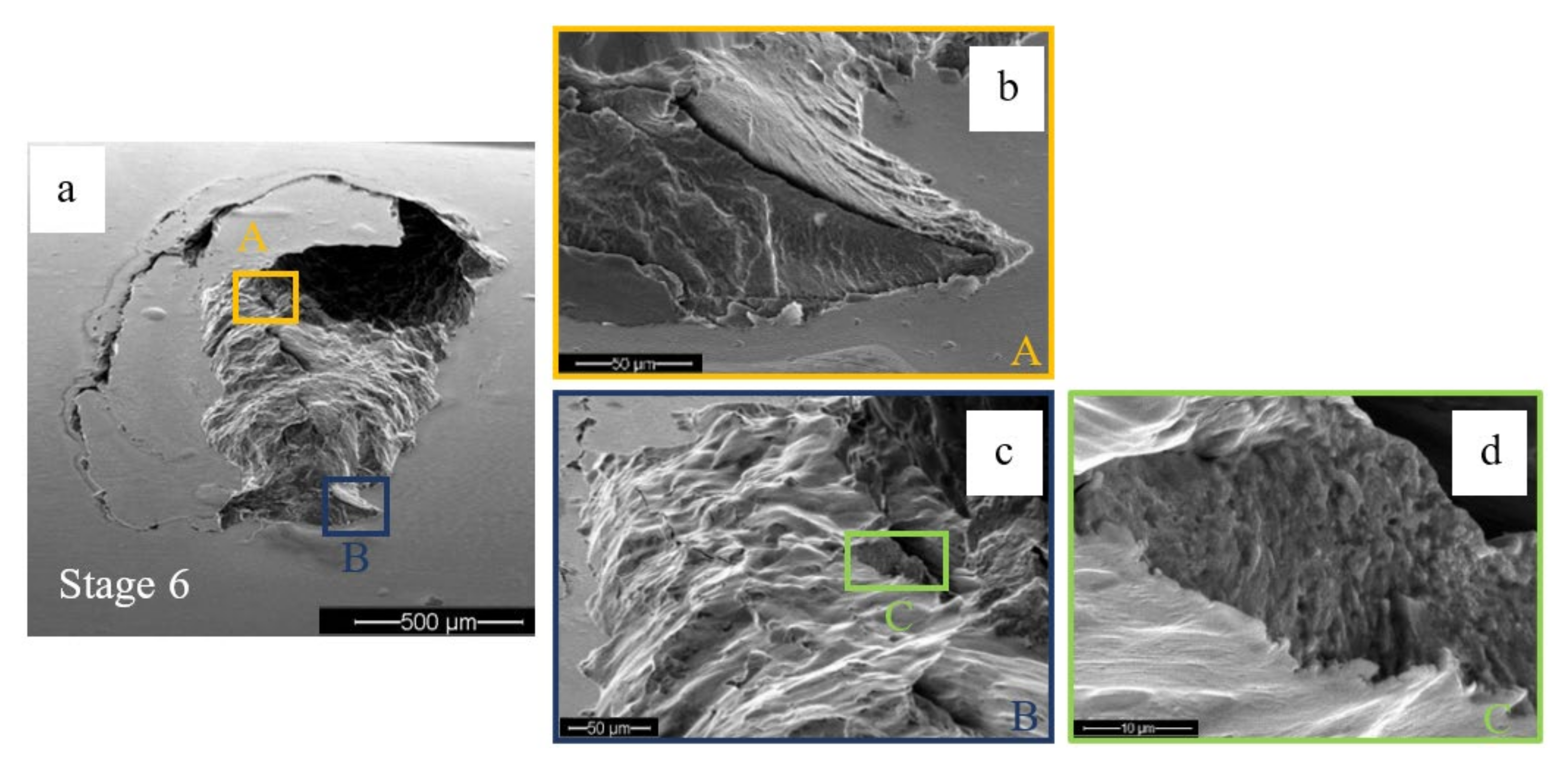 Materials 16 00068 g011