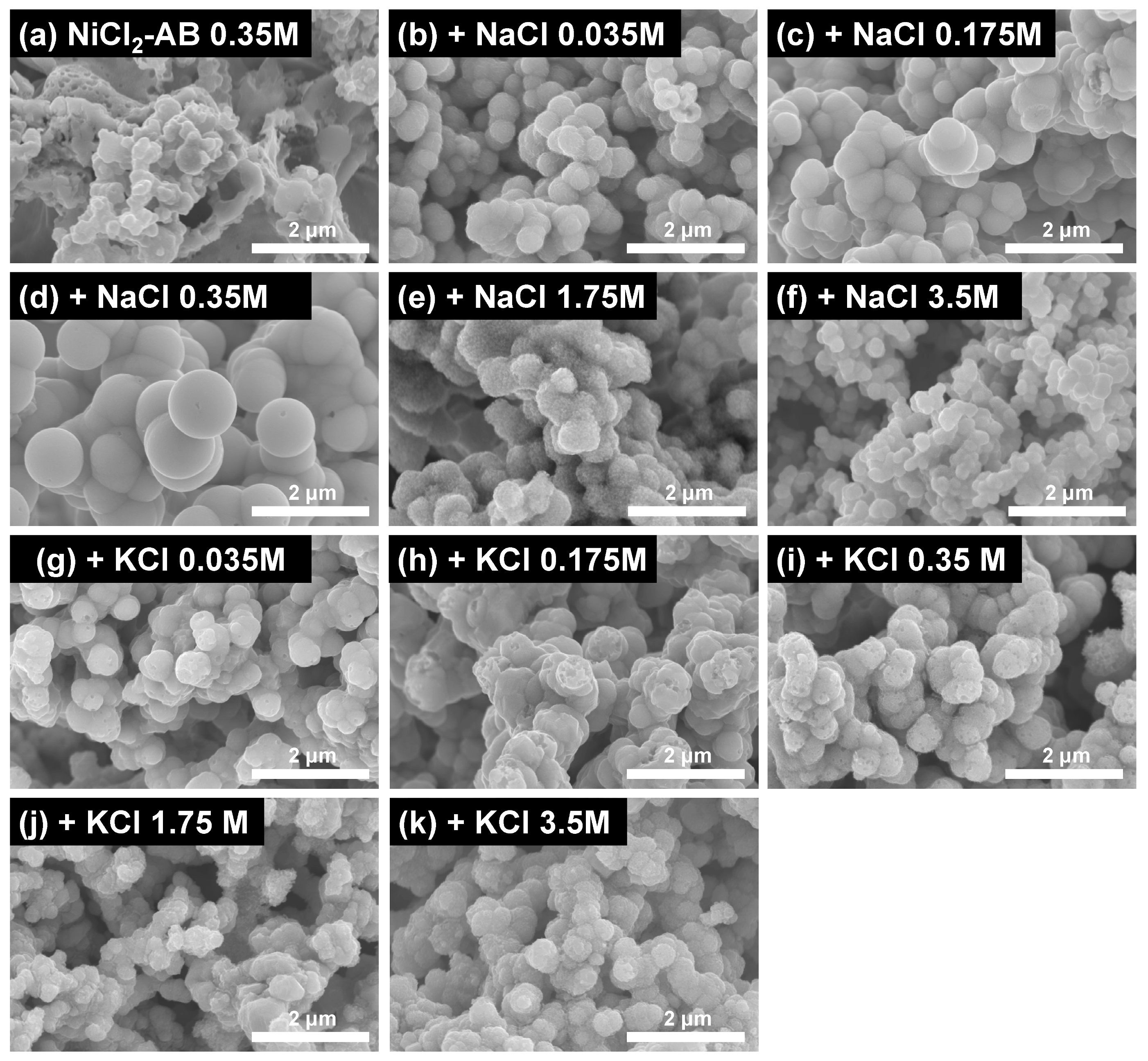 Materials 16 00076 g007