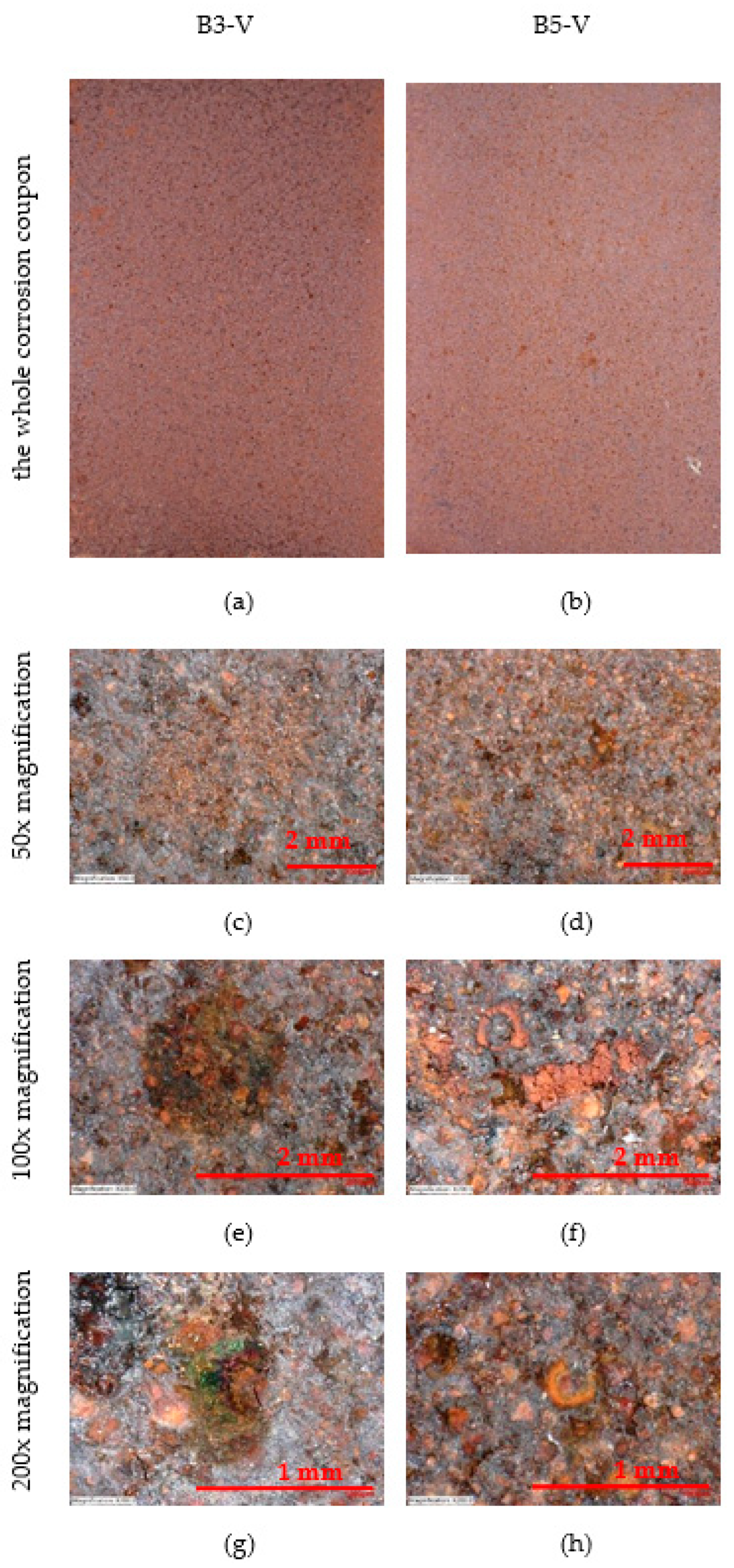 Materials 16 00088 g009 Materials 16 00088 g009