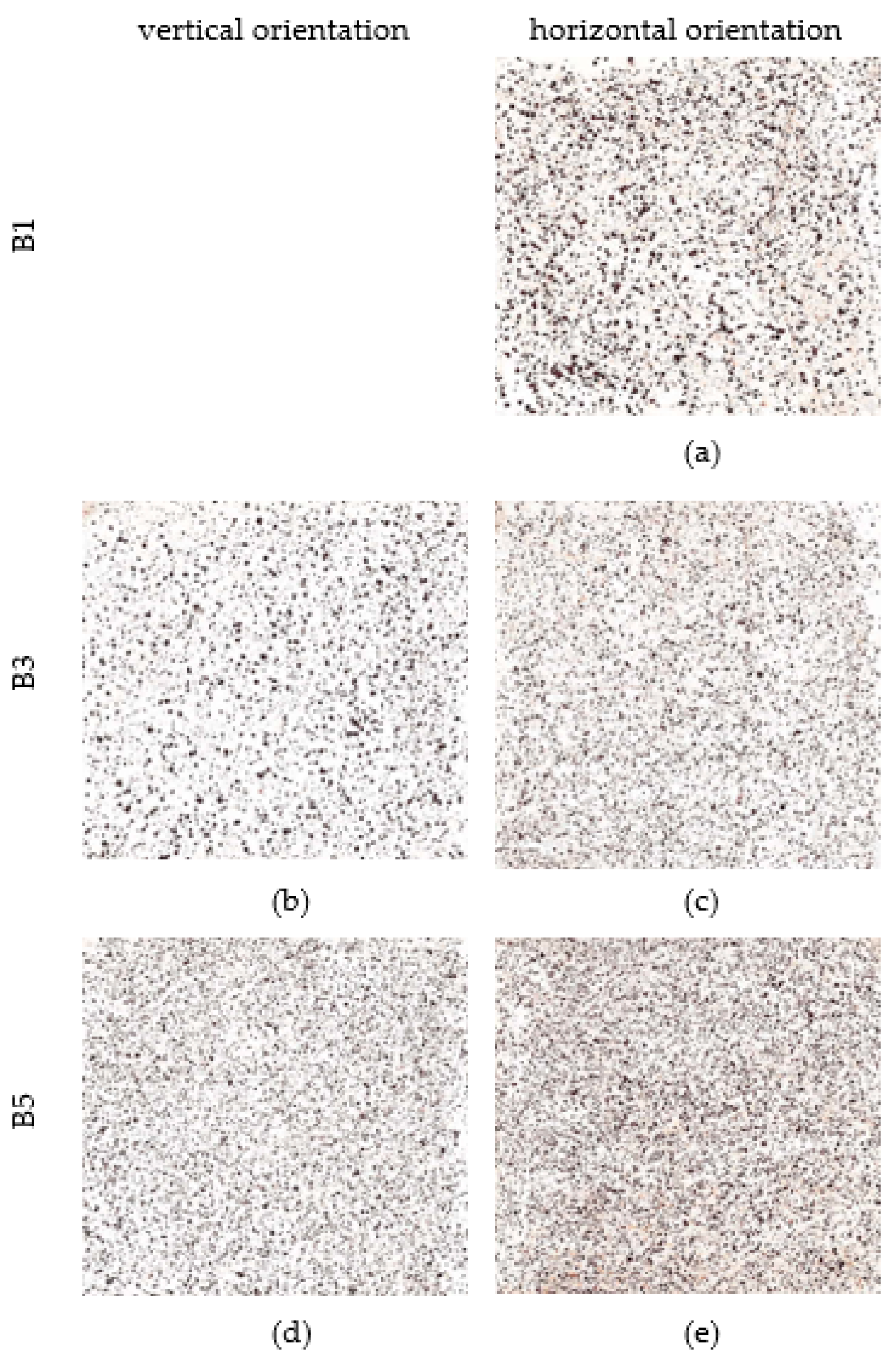 Materials 16 00088 g012 Materials 16 00088 g012