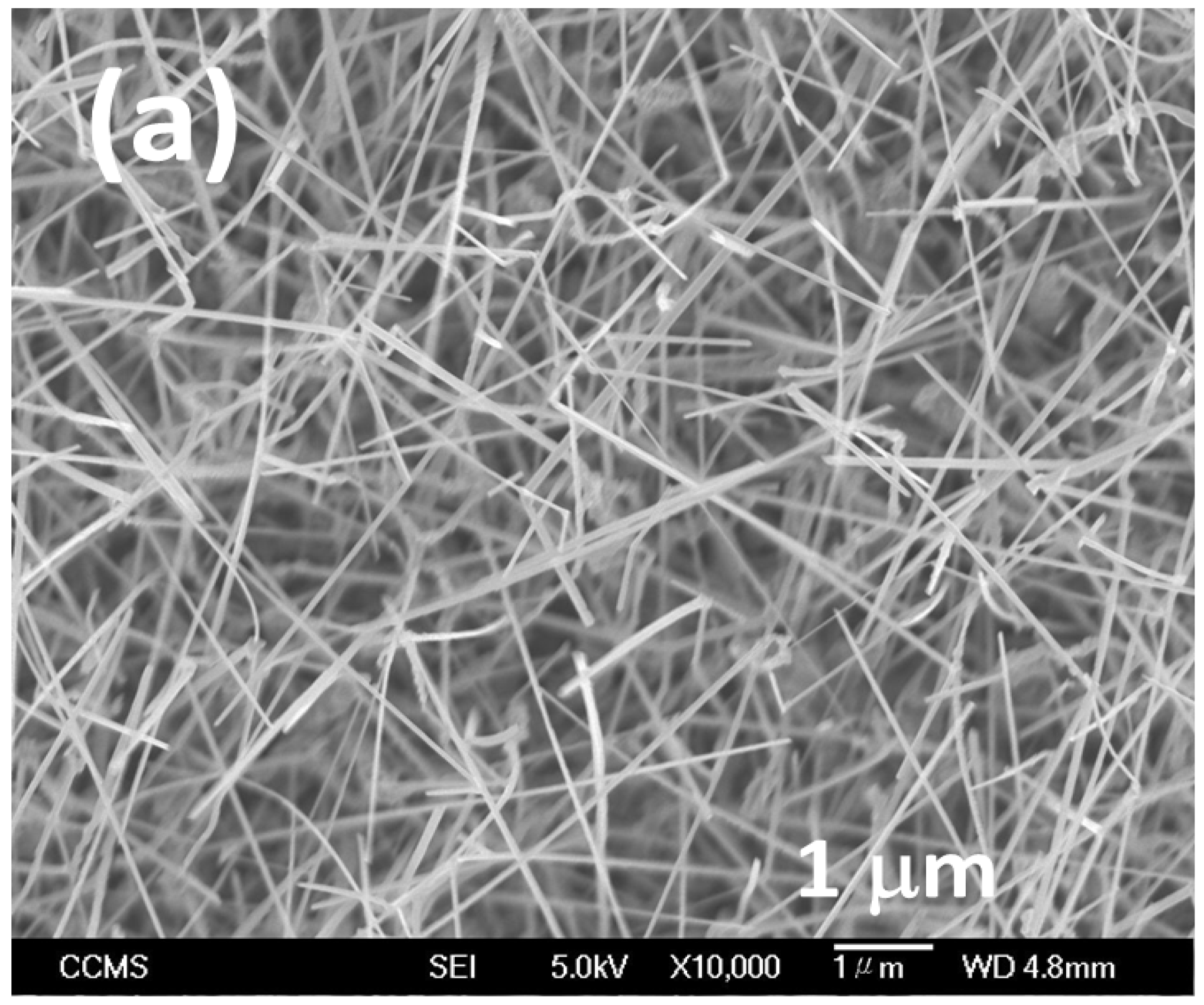 Materials 16 00097 g001a