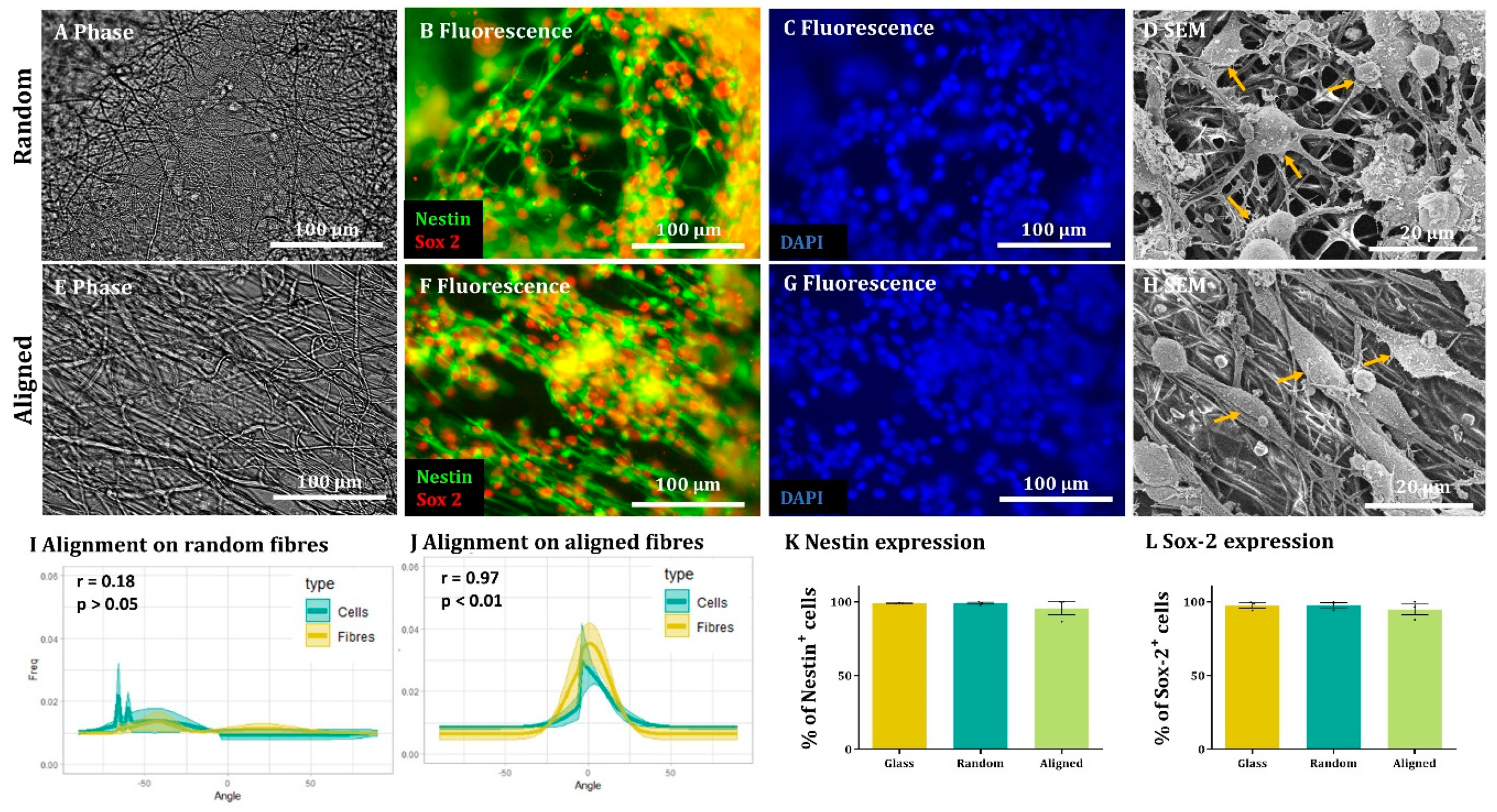 Materials 16 00124 g002 Materials 16 00124 g002