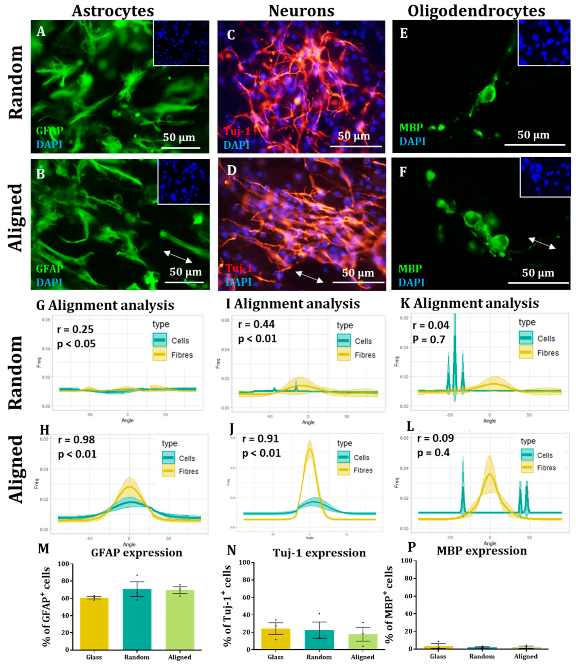 Materials 16 00124 g003 Materials 16 00124 g003