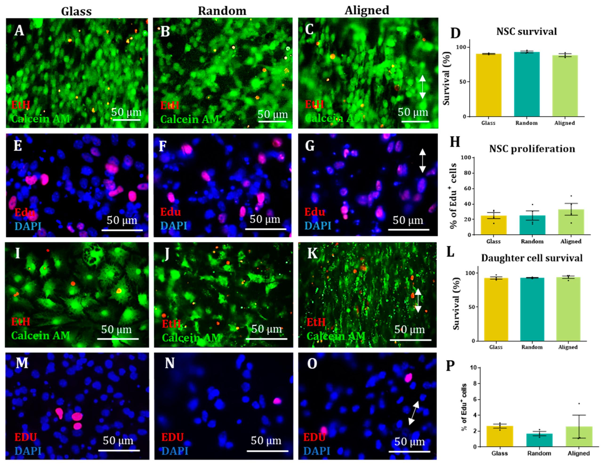 Materials 16 00124 g004 Materials 16 00124 g004