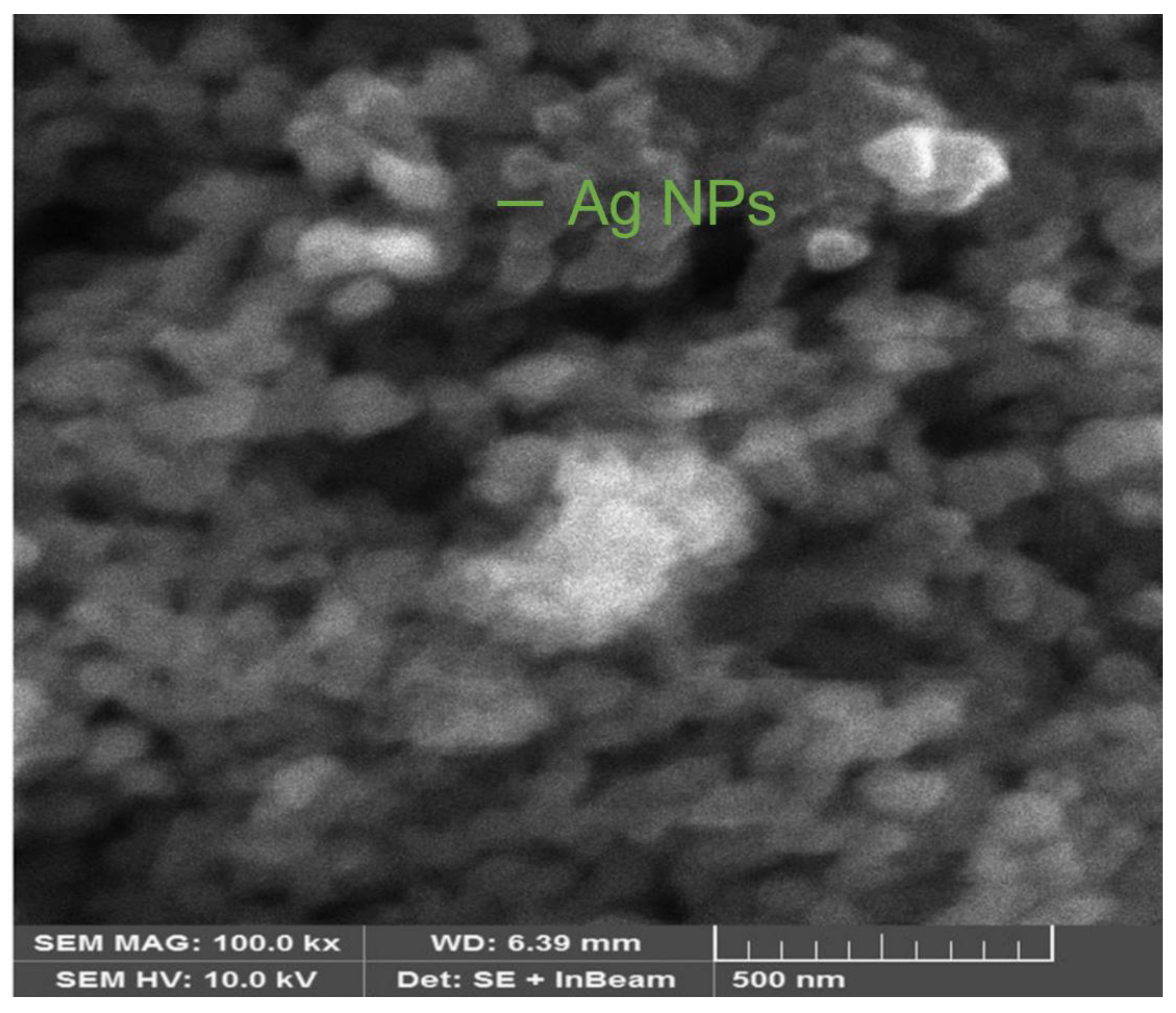 Materials 16 00129 g005 Materials 16 00129 g005