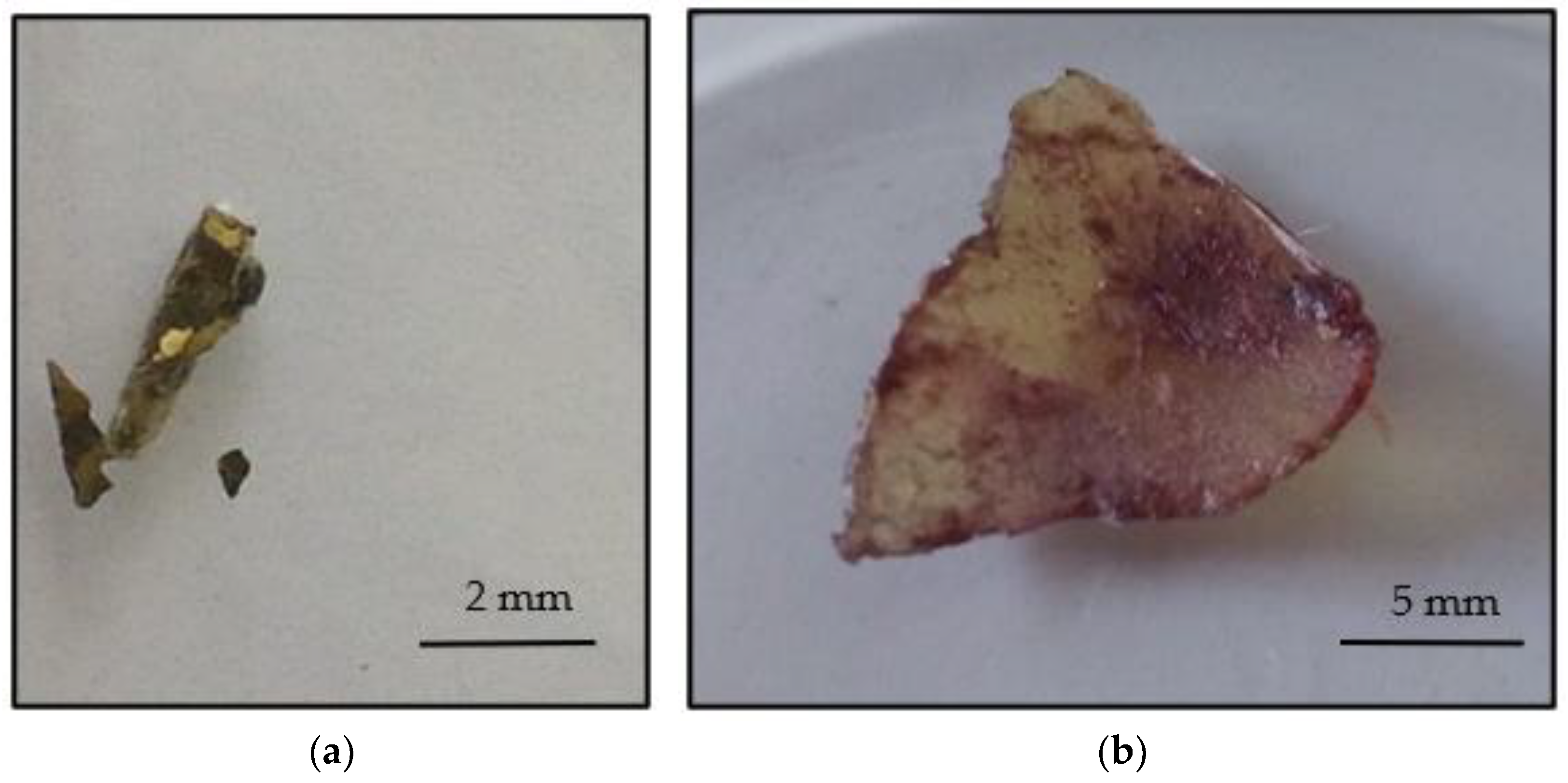 Materials 16 00133 g002