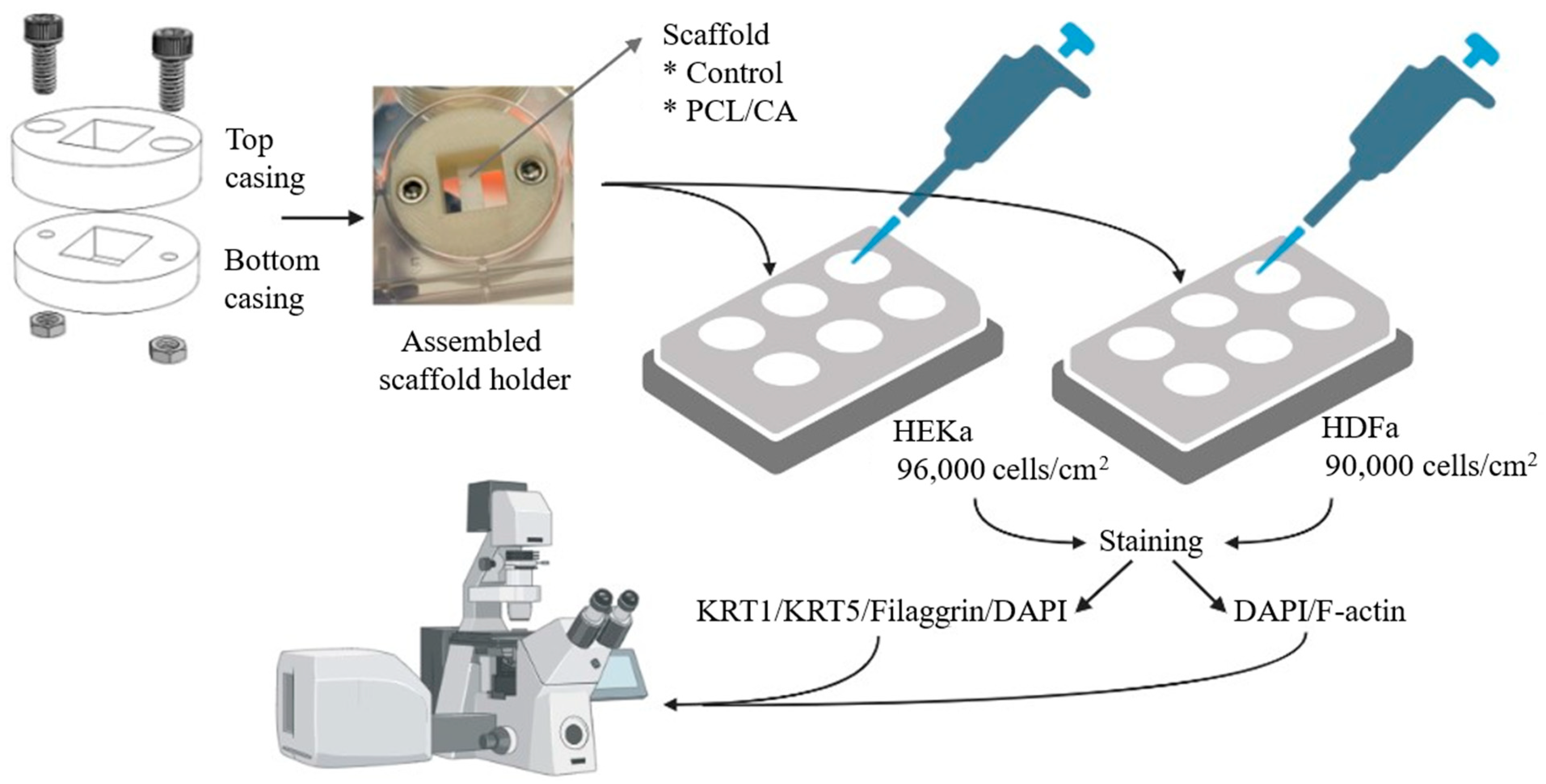 Materials 16 00136 g001