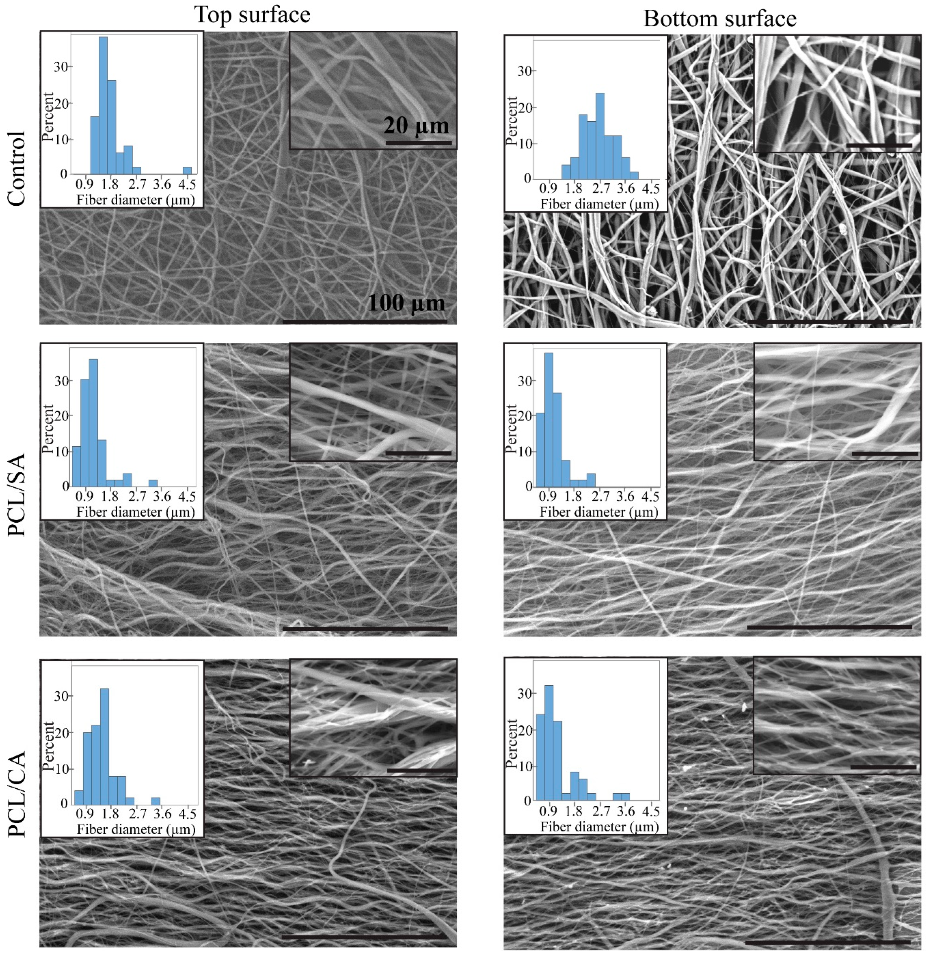 Materials 16 00136 g002