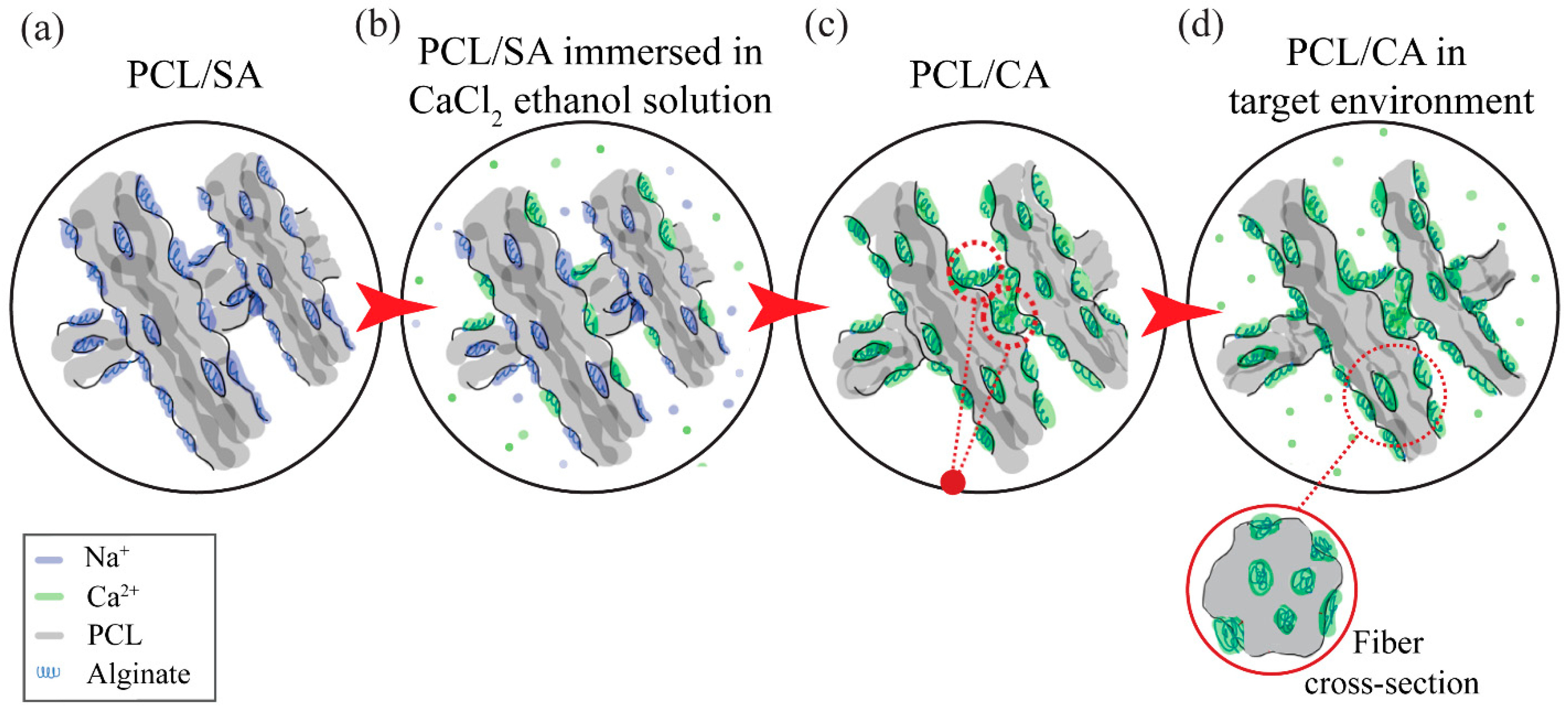 Materials 16 00136 g003