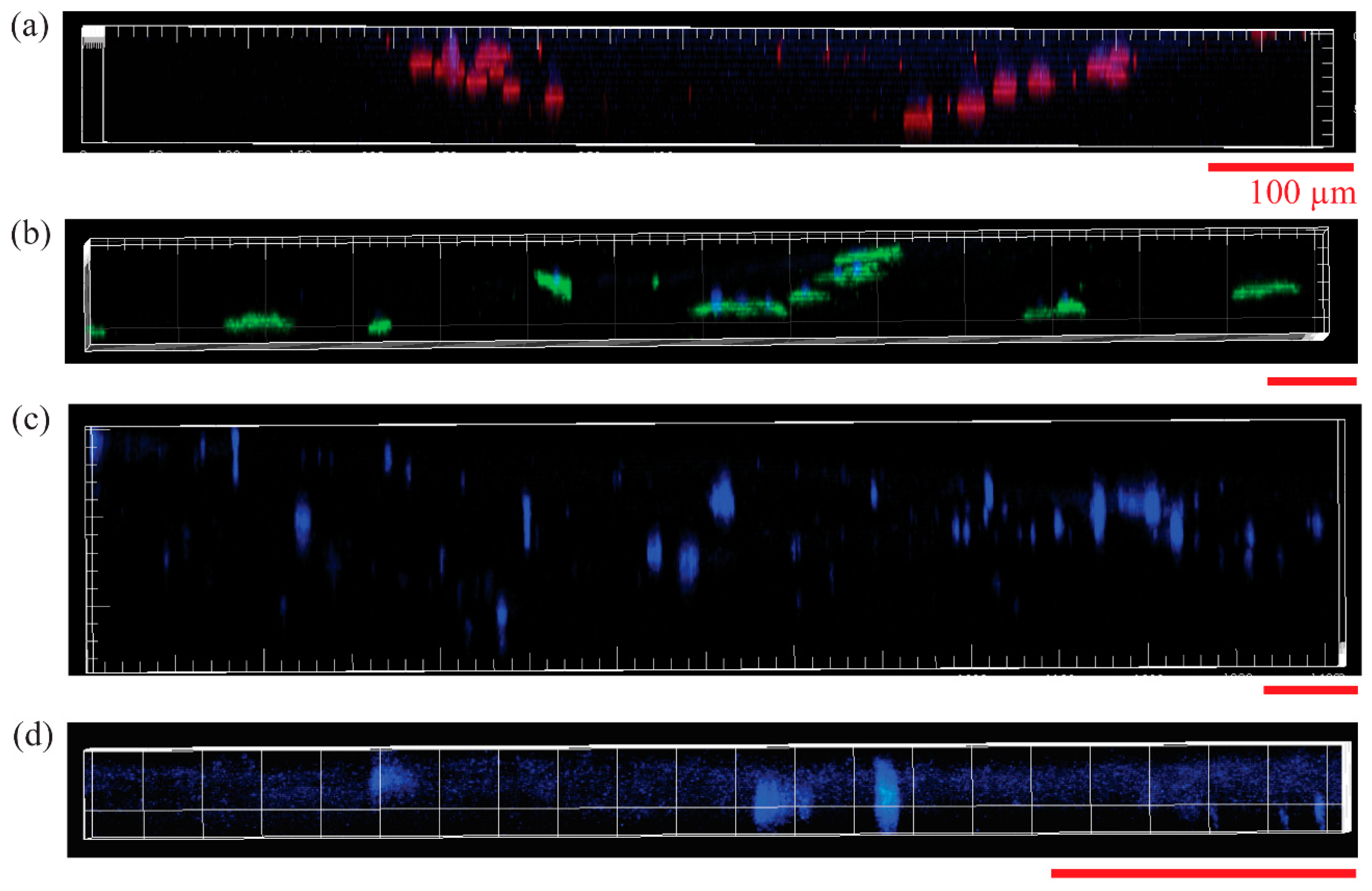 Materials 16 00136 g008