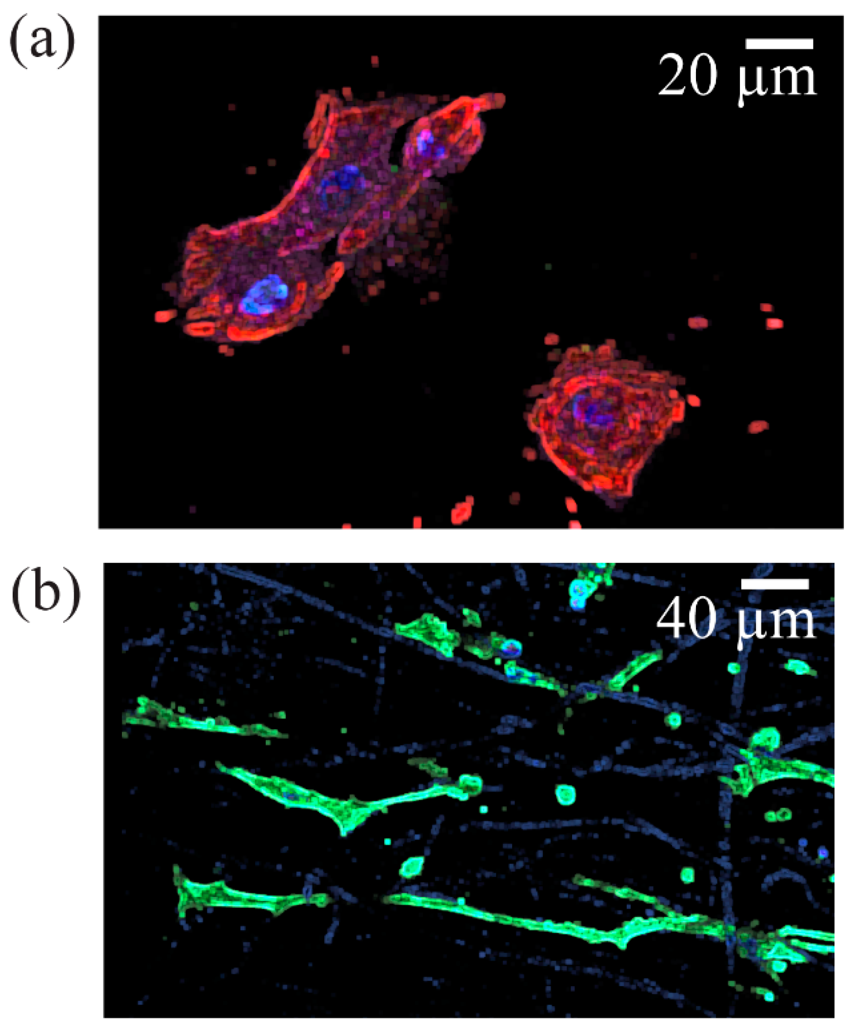 Materials 16 00136 g010