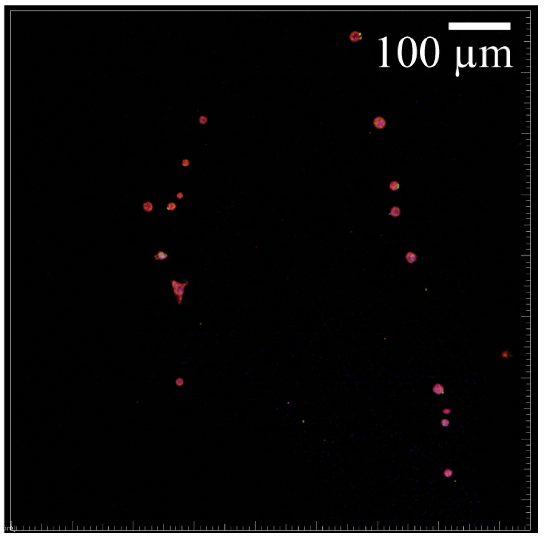 Materials 16 00136 g011