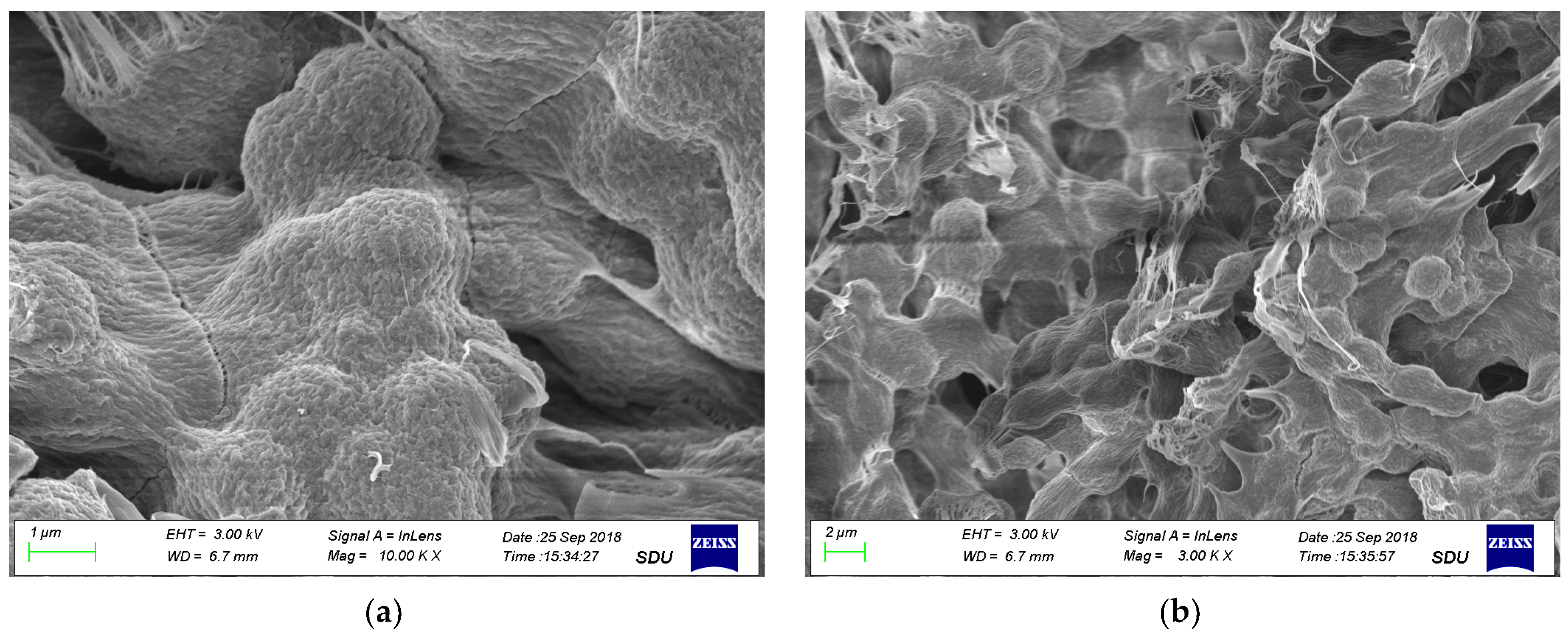 Materials 16 00150 g002