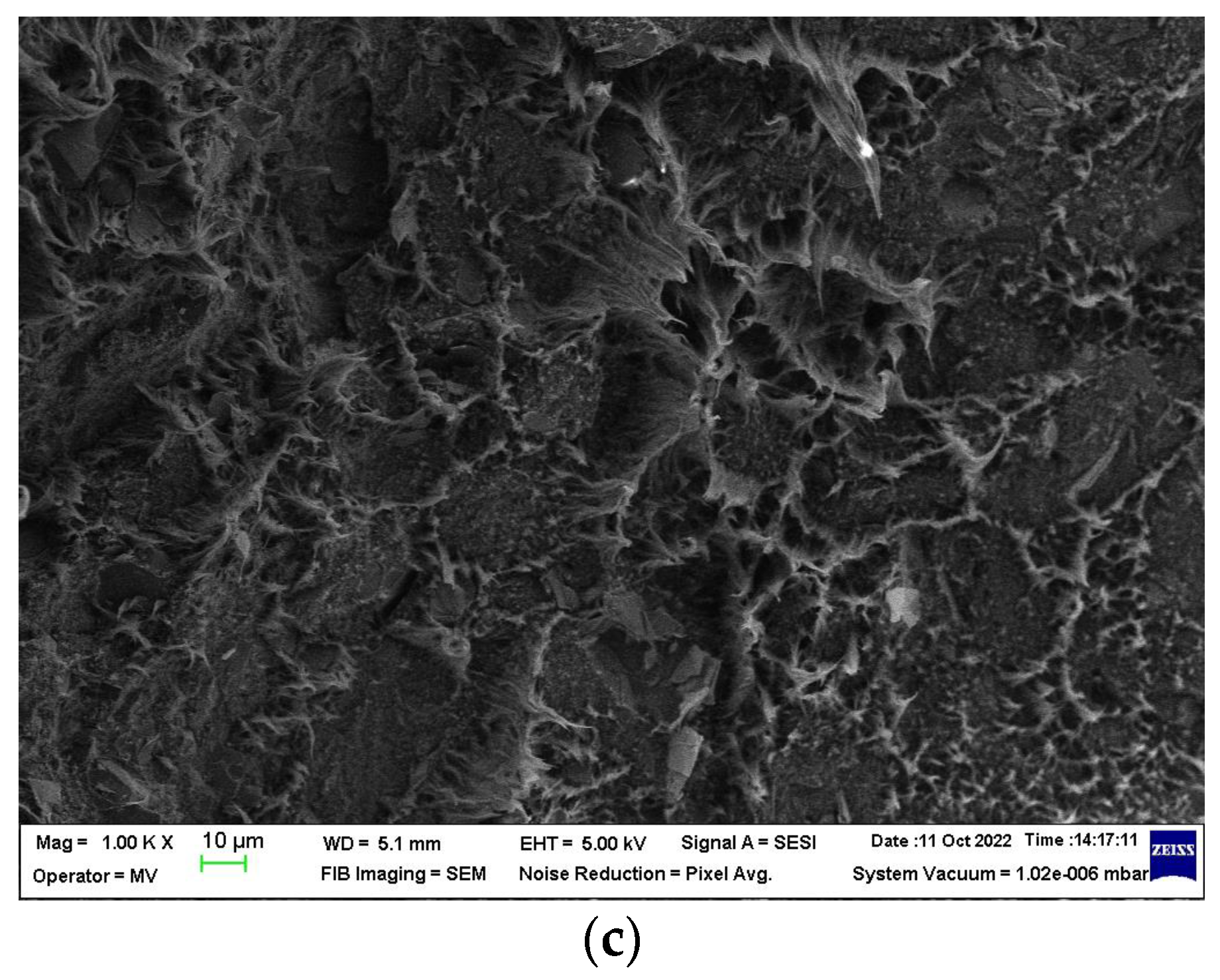 Materials 16 00157 g007b