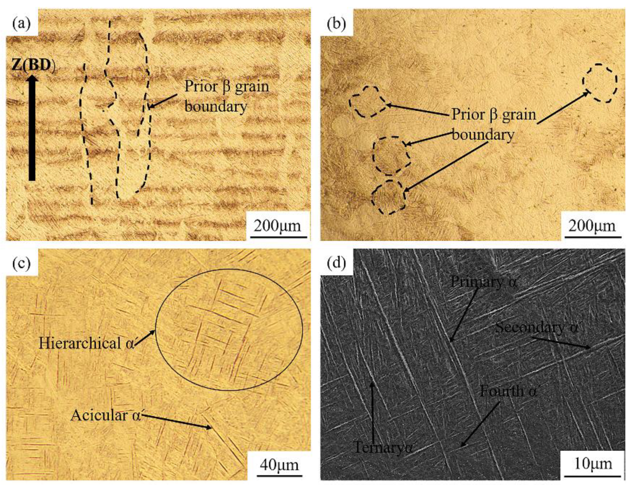 Materials 16 00160 g003 Materials 16 00160 g003
