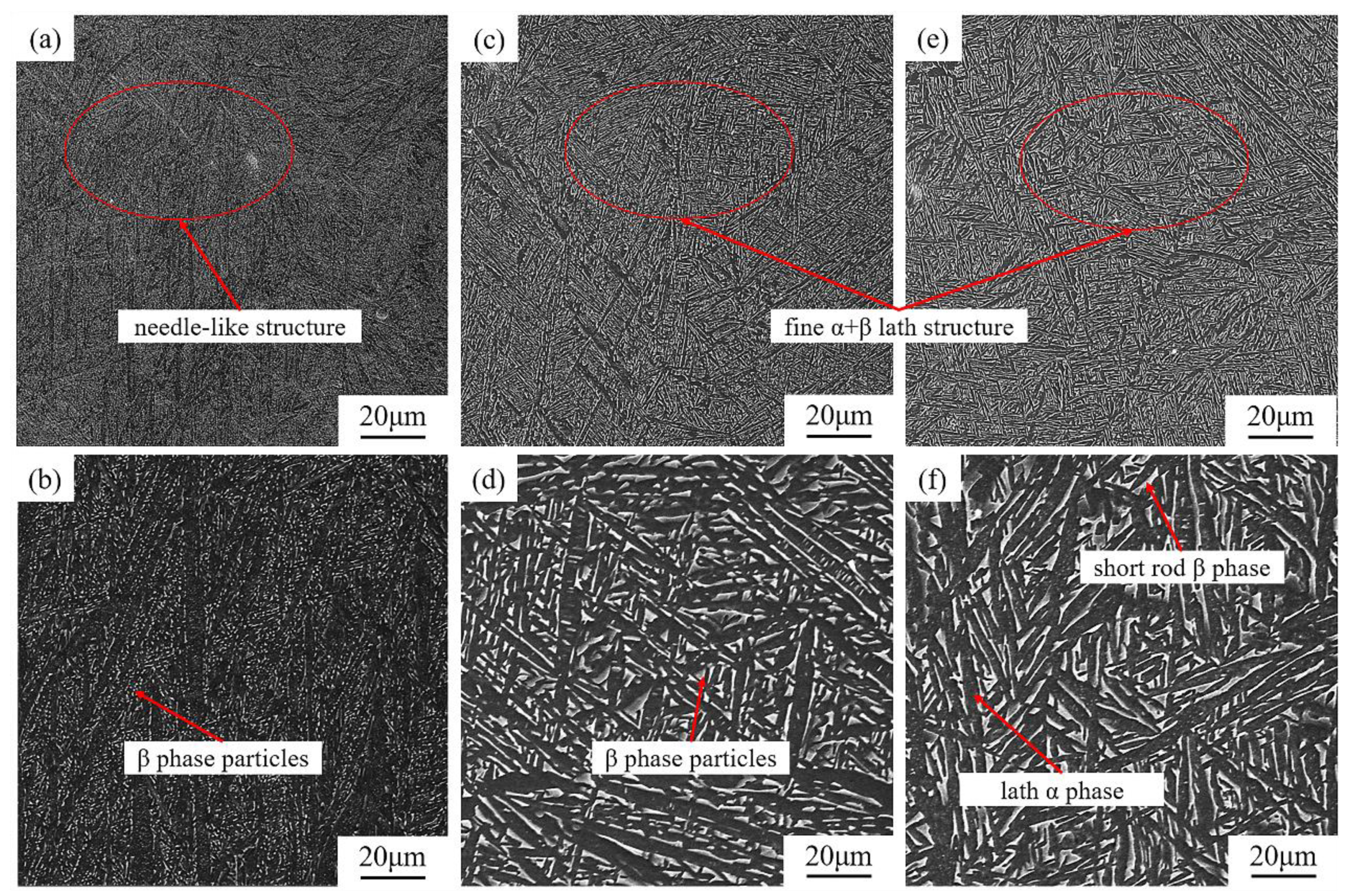 Materials 16 00160 g004 Materials 16 00160 g004