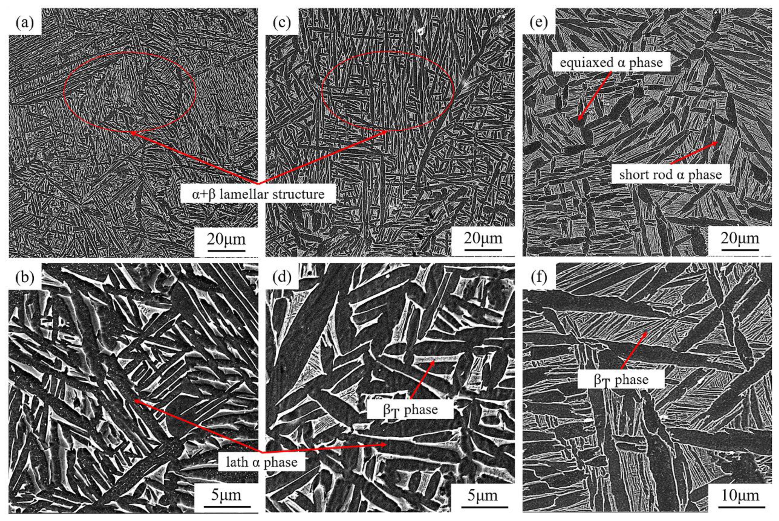 Materials 16 00160 g005 Materials 16 00160 g005