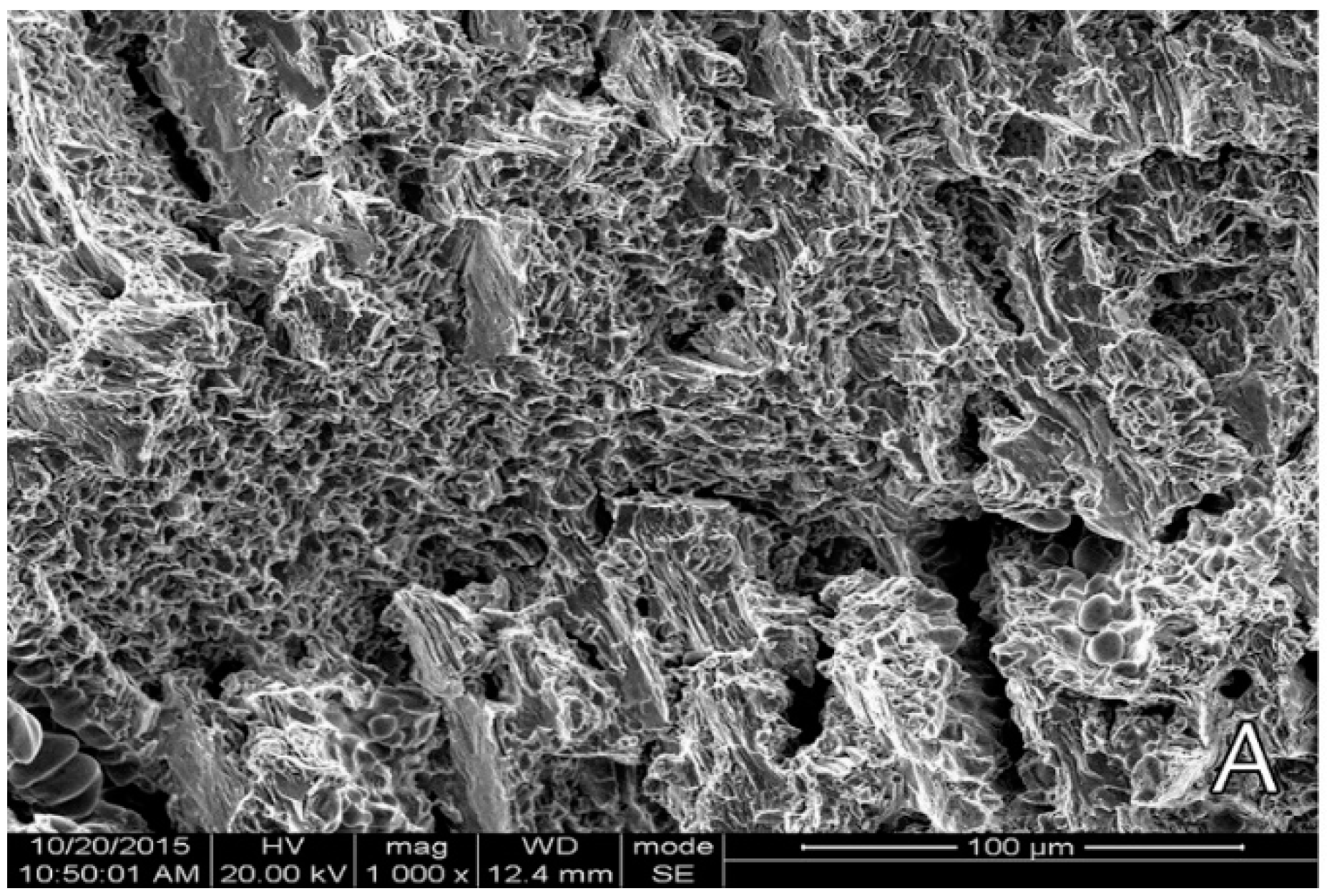 Materials 16 00161 g007