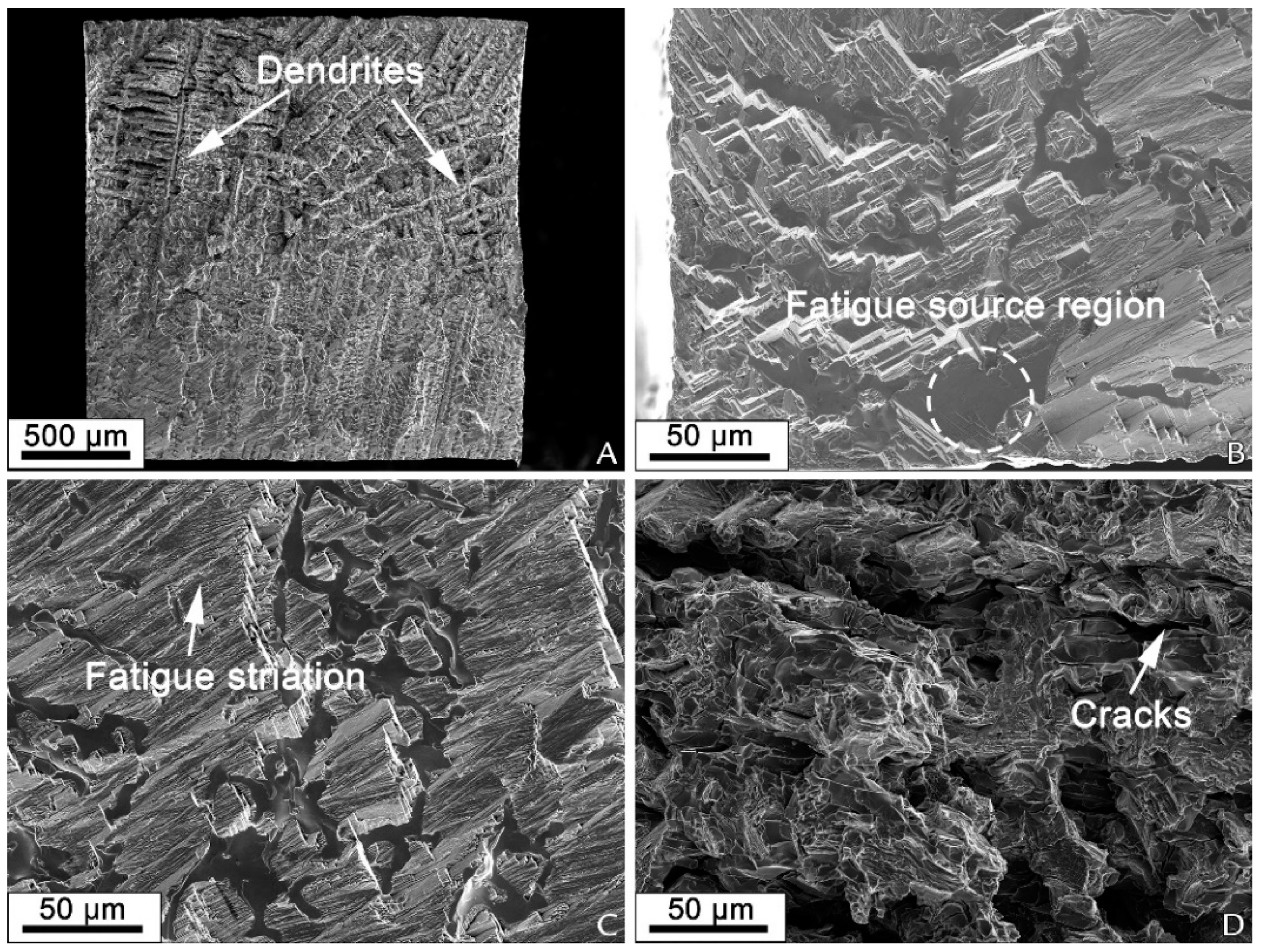 Materials 16 00161 g008