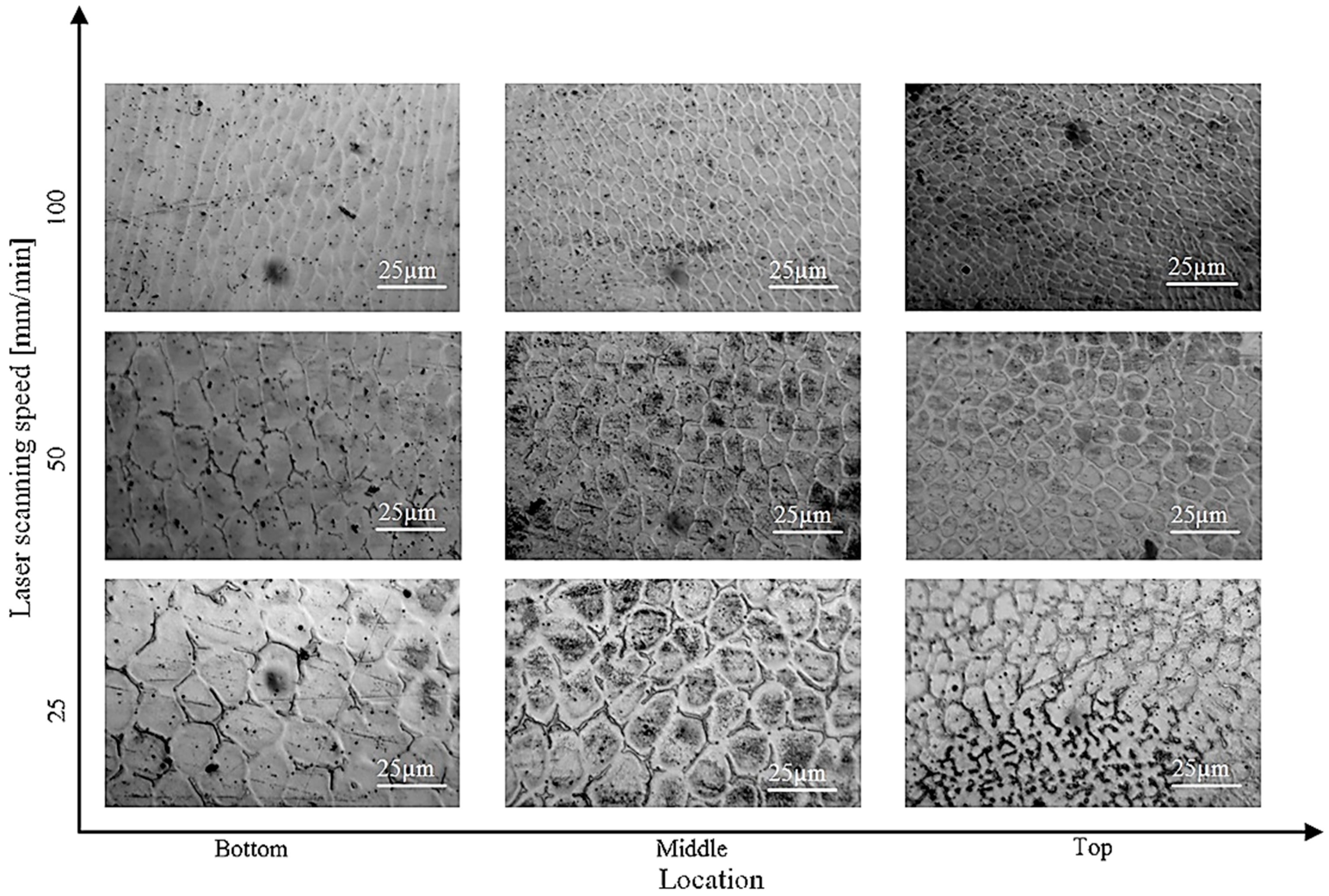Materials 16 00161 g013