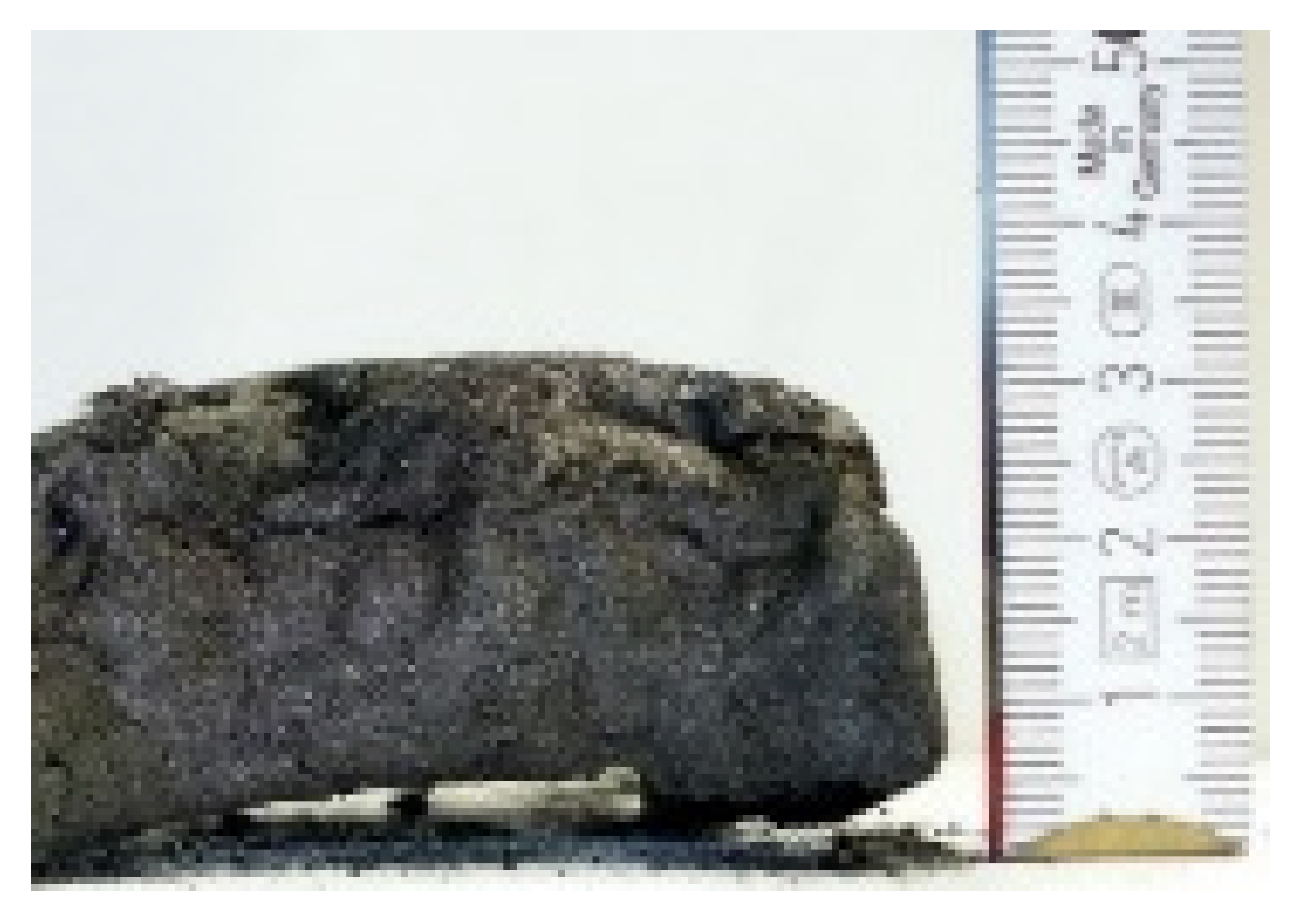 Materials 16 00172 i011 Materials 16 00172 i011