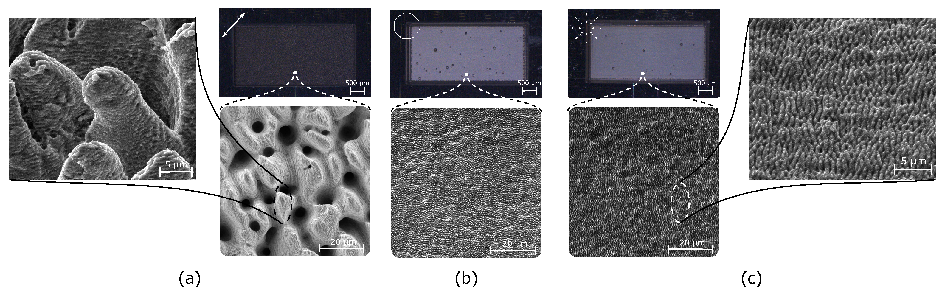 Materials 16 00176 g005 Materials 16 00176 g005