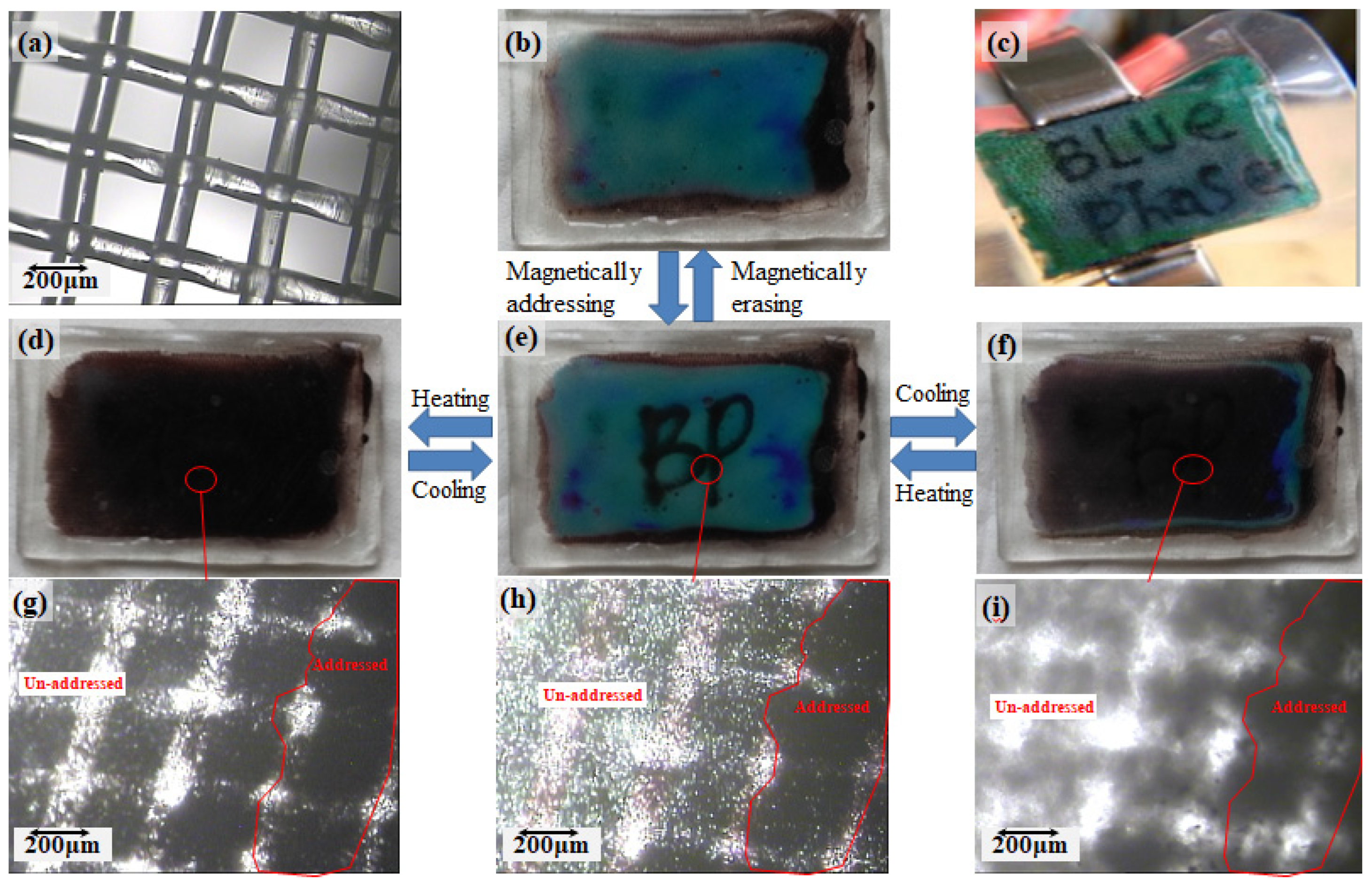 Materials 16 00194 g008