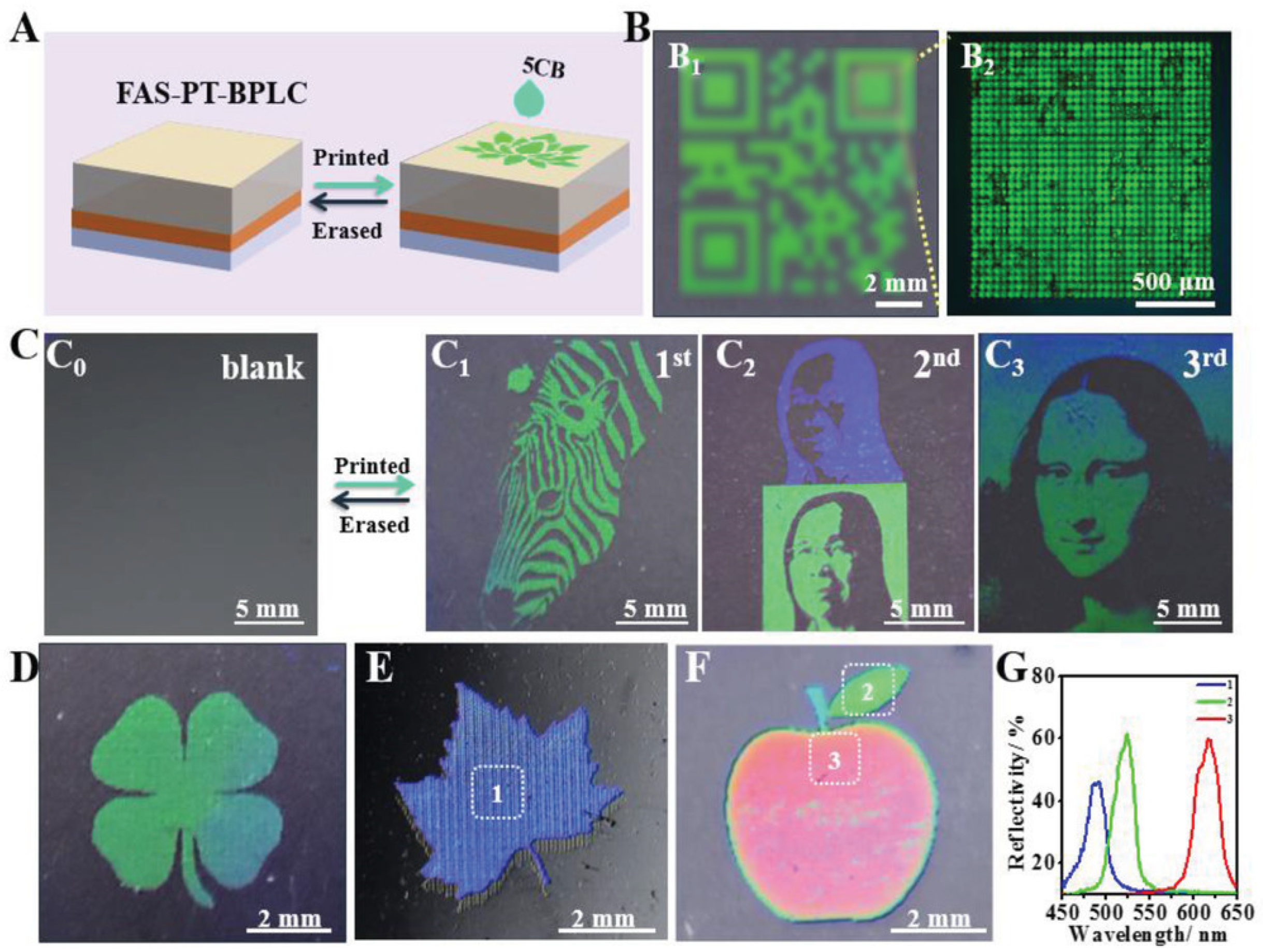 Materials 16 00194 g015