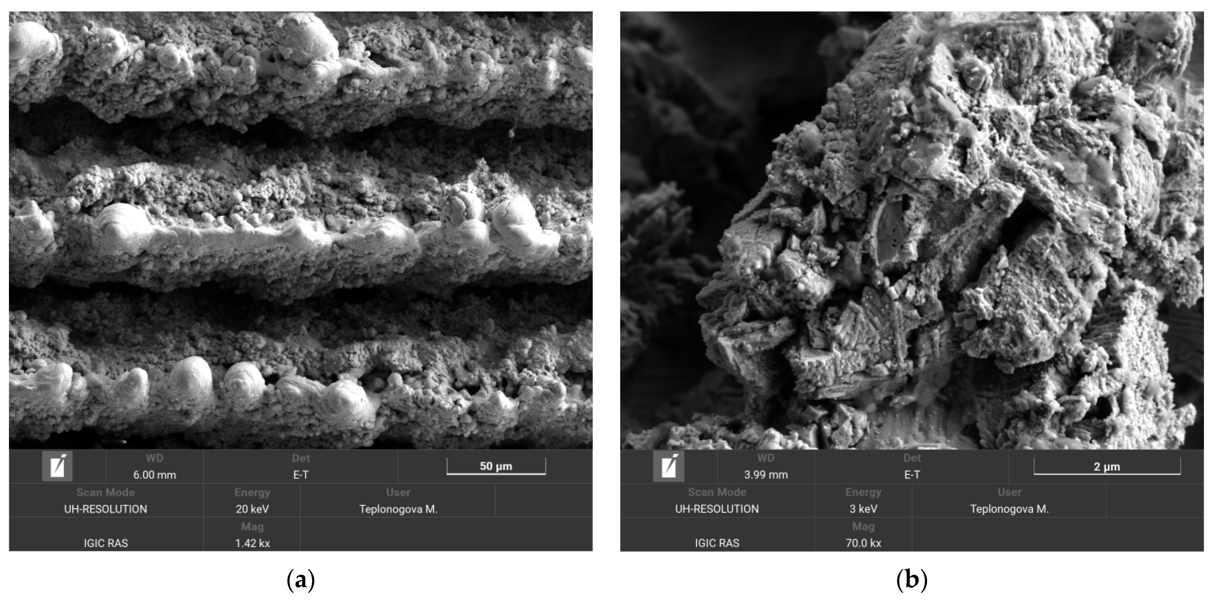 Materials 16 00196 g007