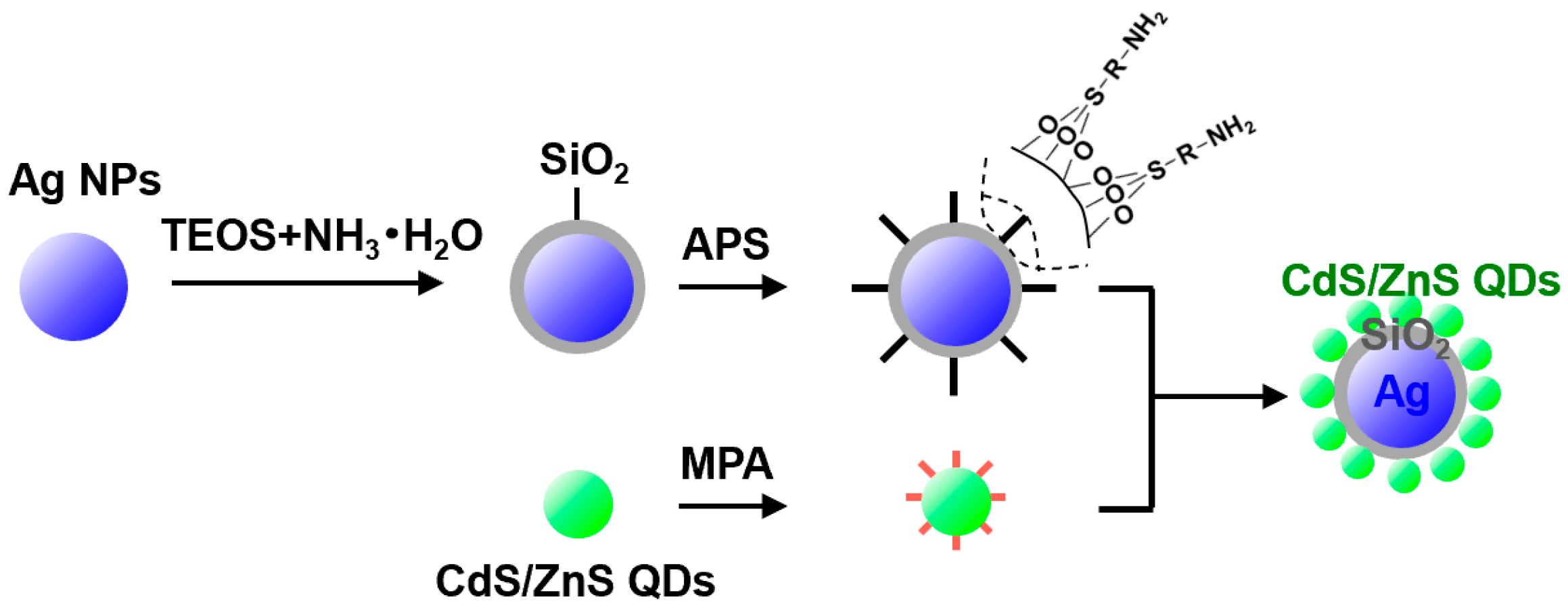 Materials 16 00201 g001