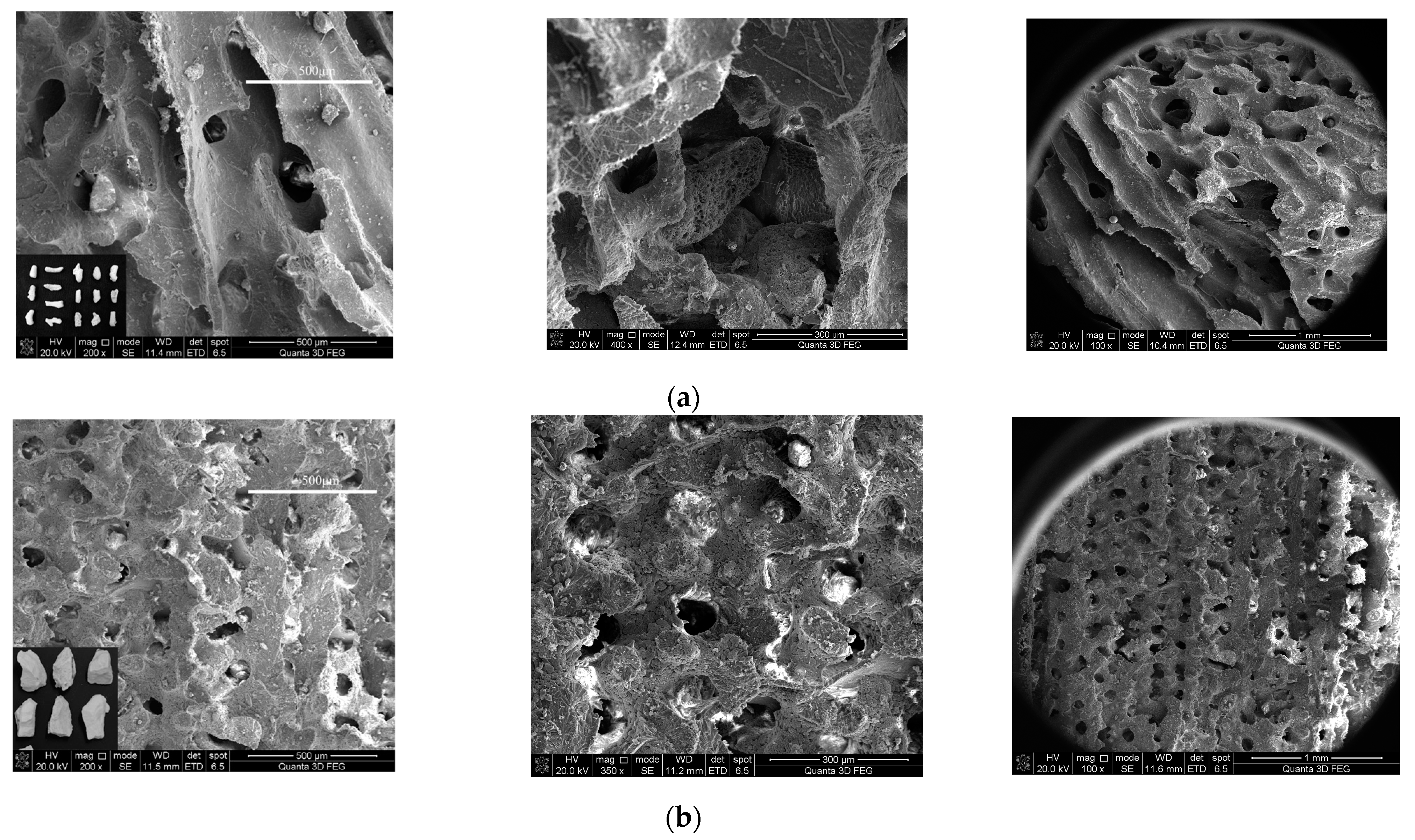 Materials 16 00214 g007
