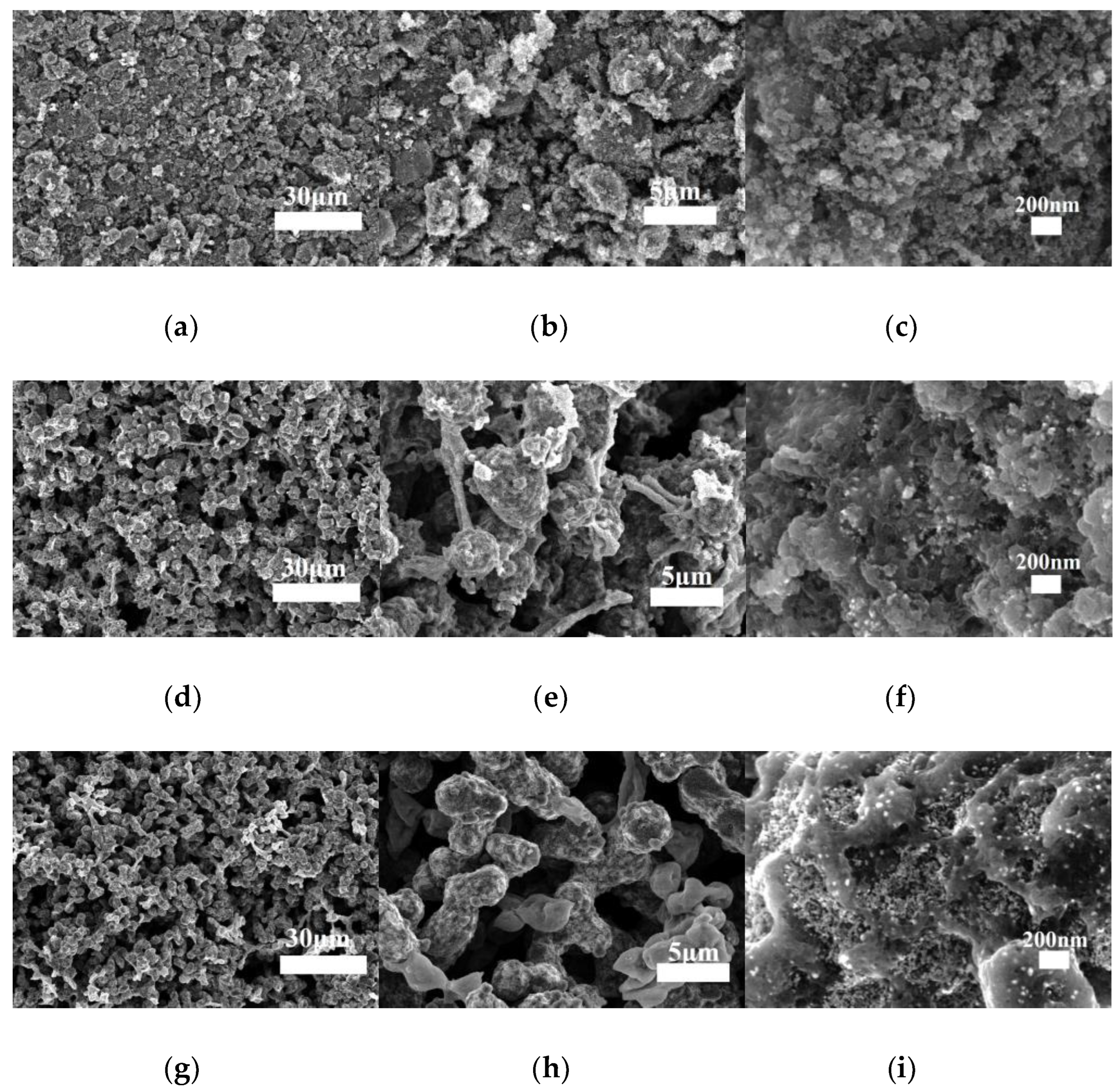 Materials 16 00220 g007