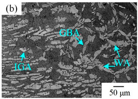 Materials 16 00250 i003 Materials 16 00250 i003