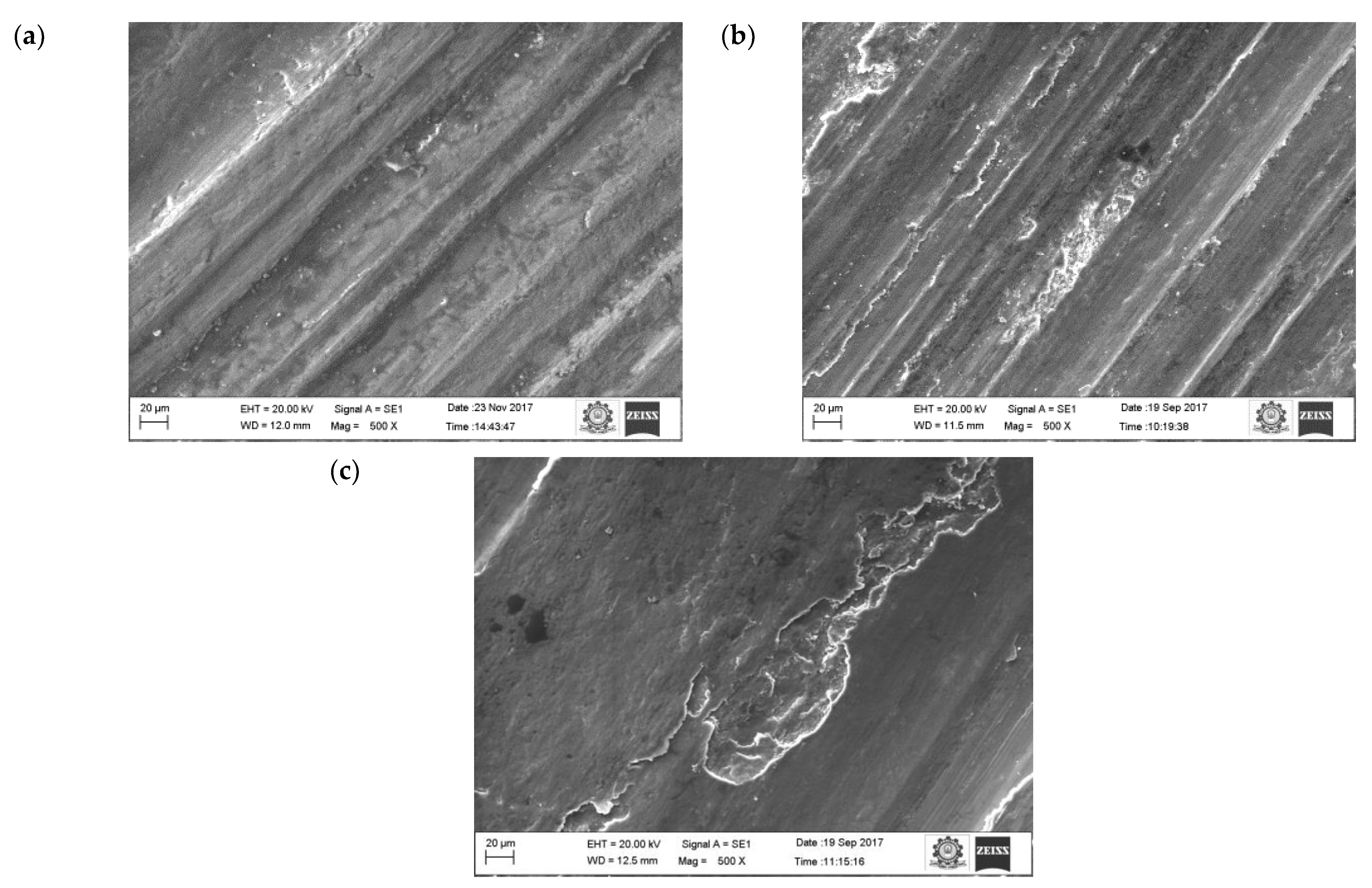 Materials 16 00259 g010