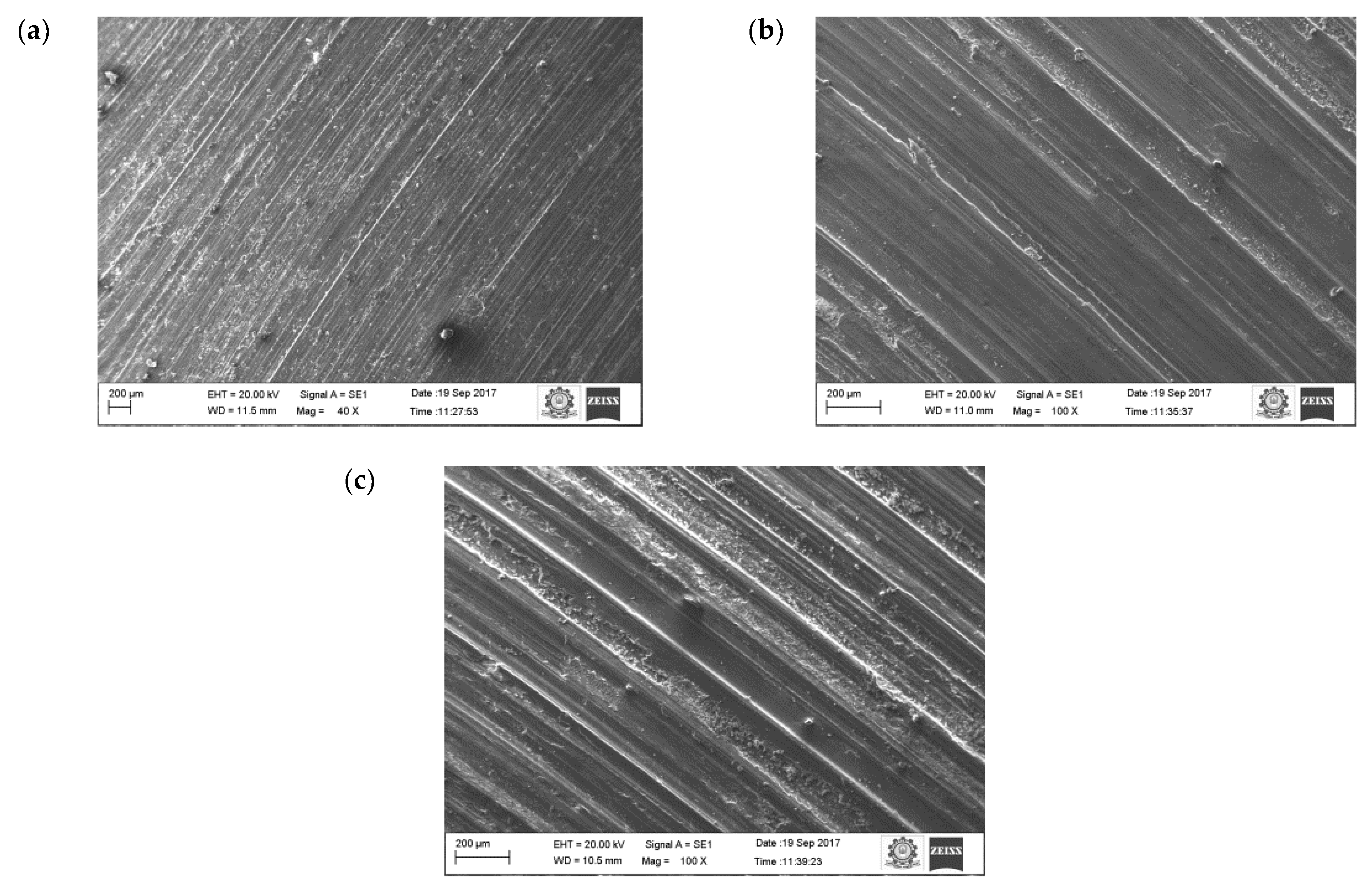 Materials 16 00259 g015