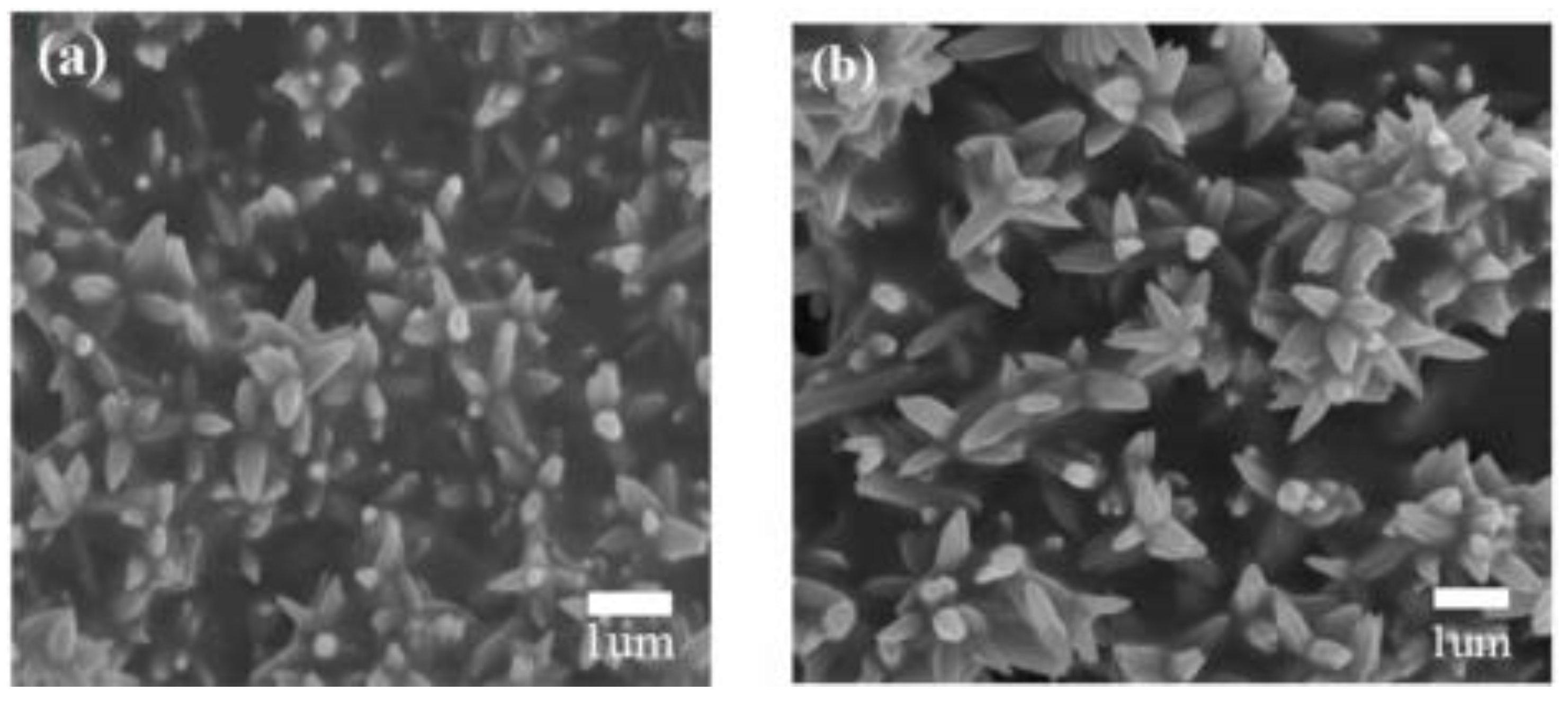 Materials 16 00263 g005