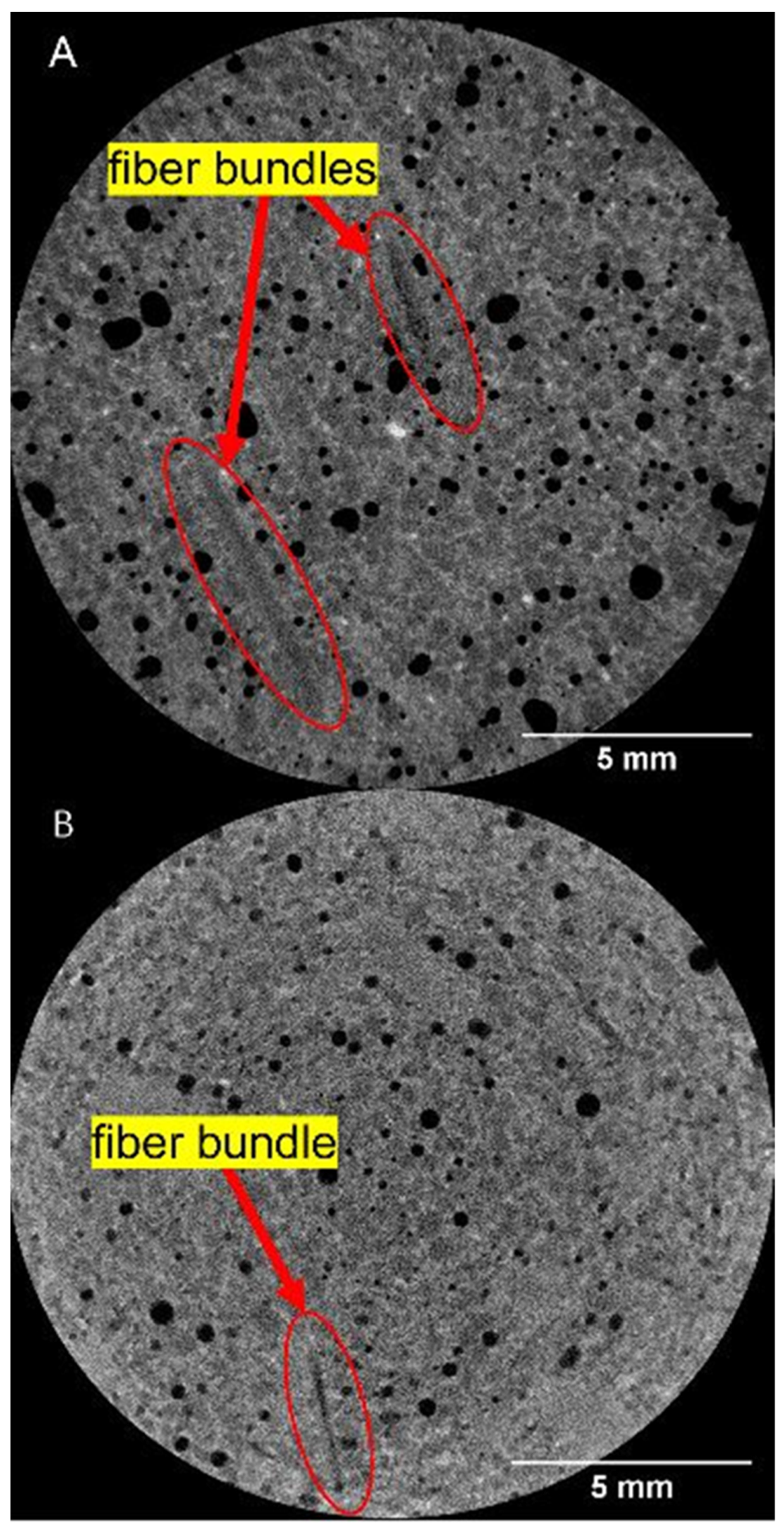 Materials 16 00314 g010