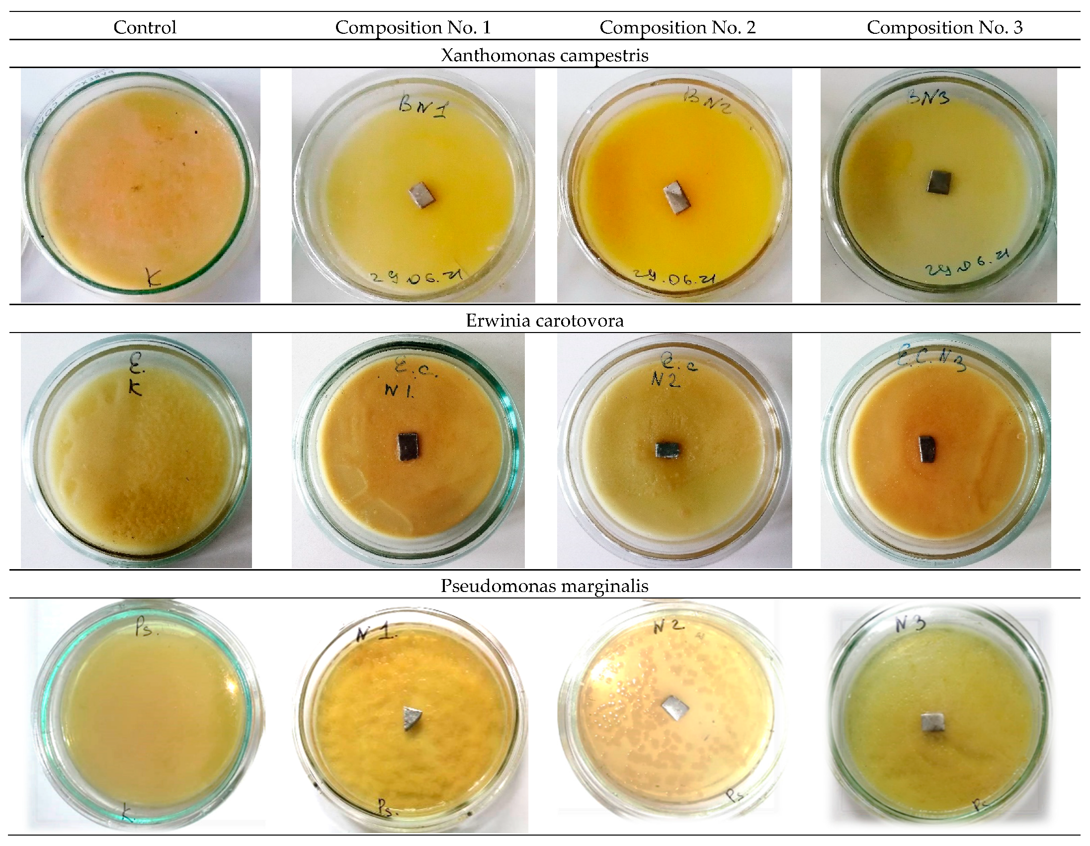 Materials 16 00319 g006a Materials 16 00319 g006a