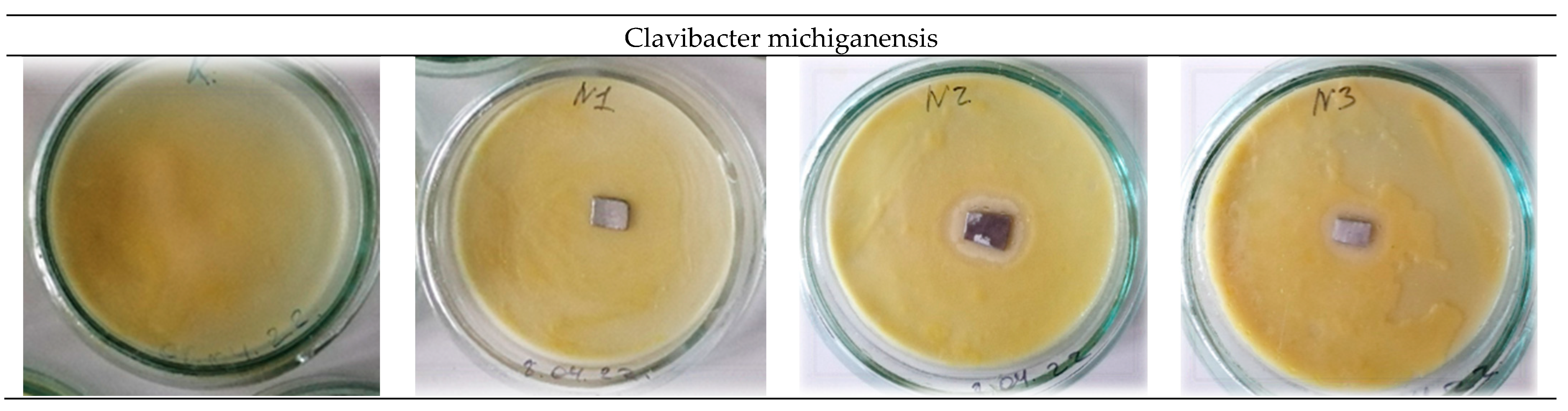 Materials 16 00319 g006b Materials 16 00319 g006b