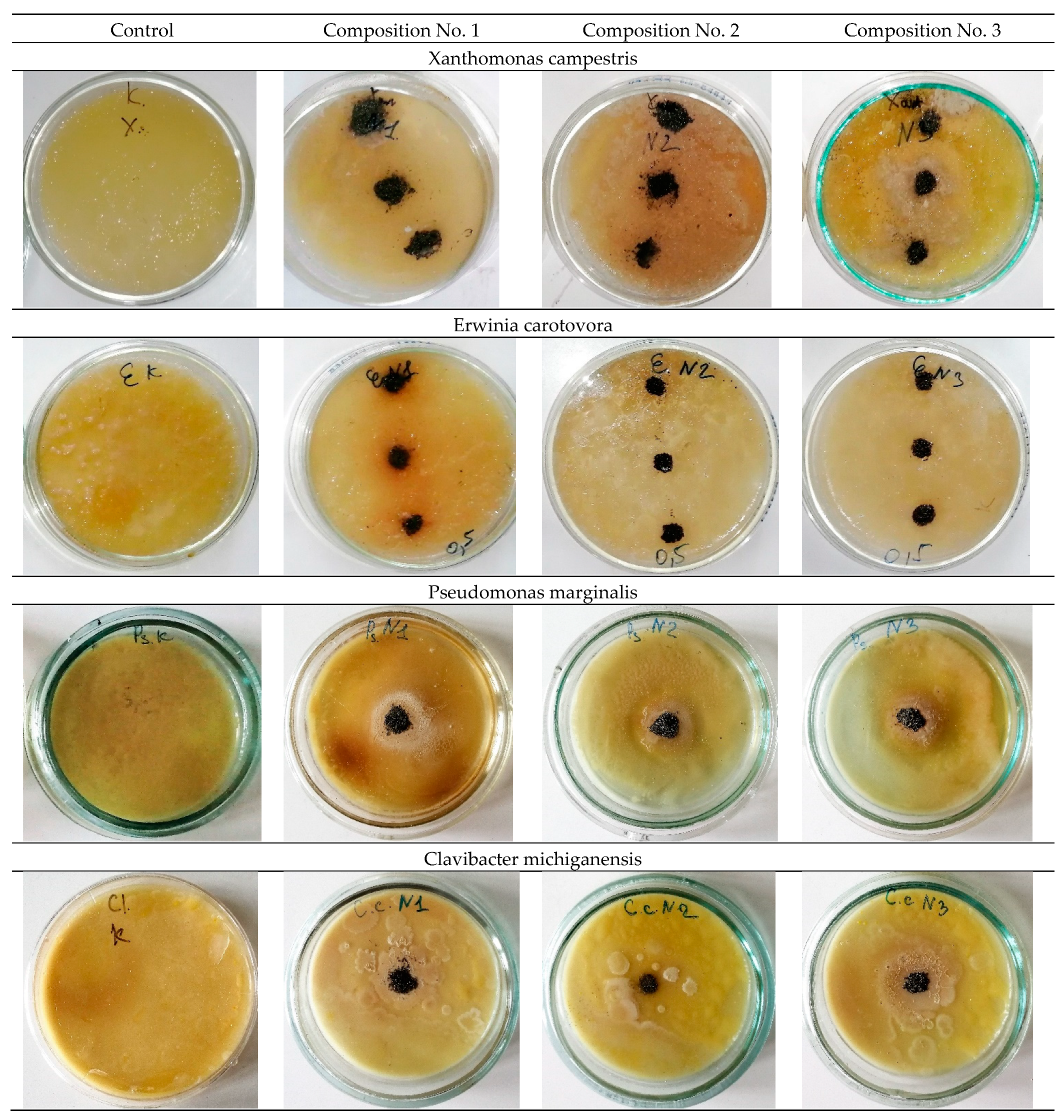 Materials 16 00319 g007 Materials 16 00319 g007