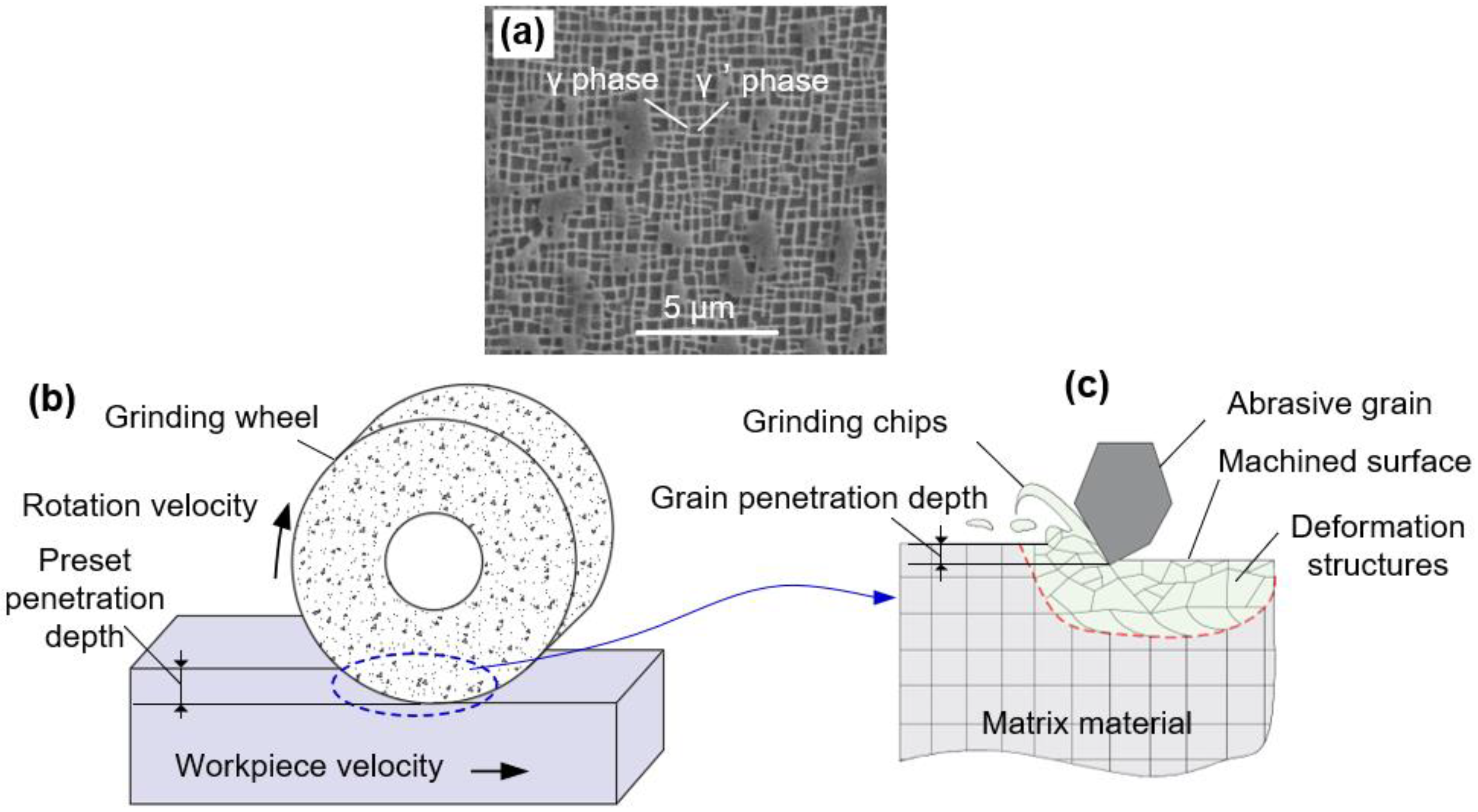 Materials 16 00321 g001