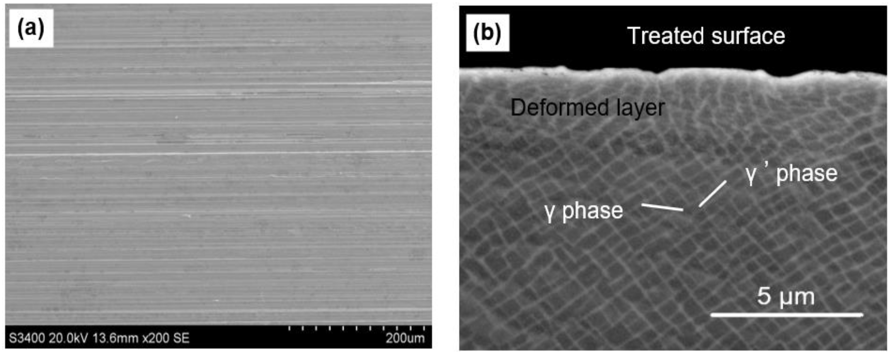 Materials 16 00321 g002