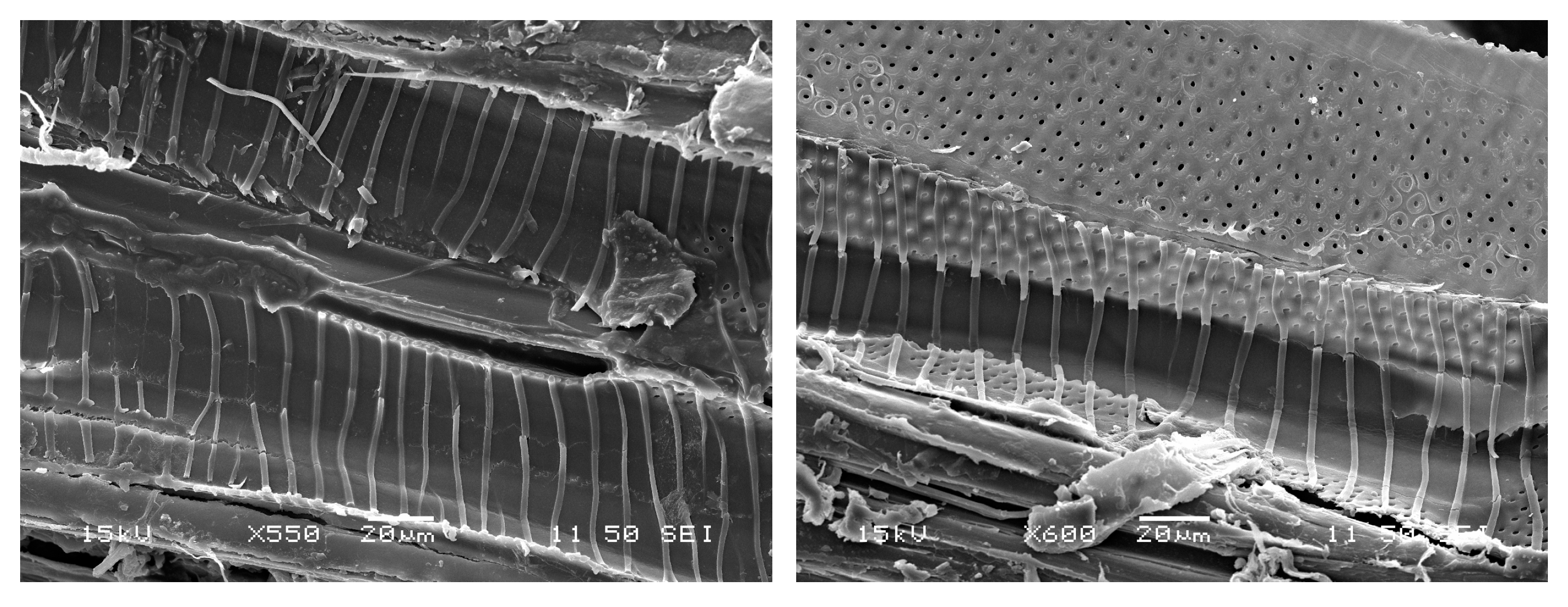 Materials 16 00331 g007